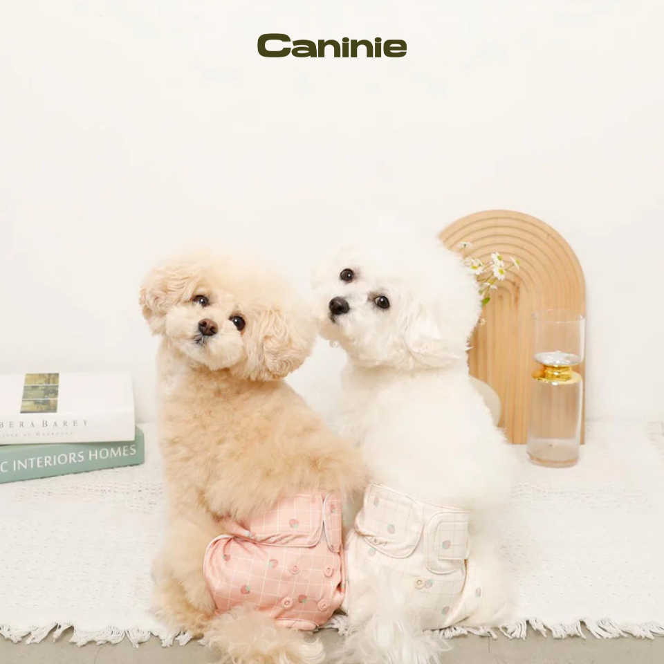 Strawberry check pattern sanitary pants - monchéri