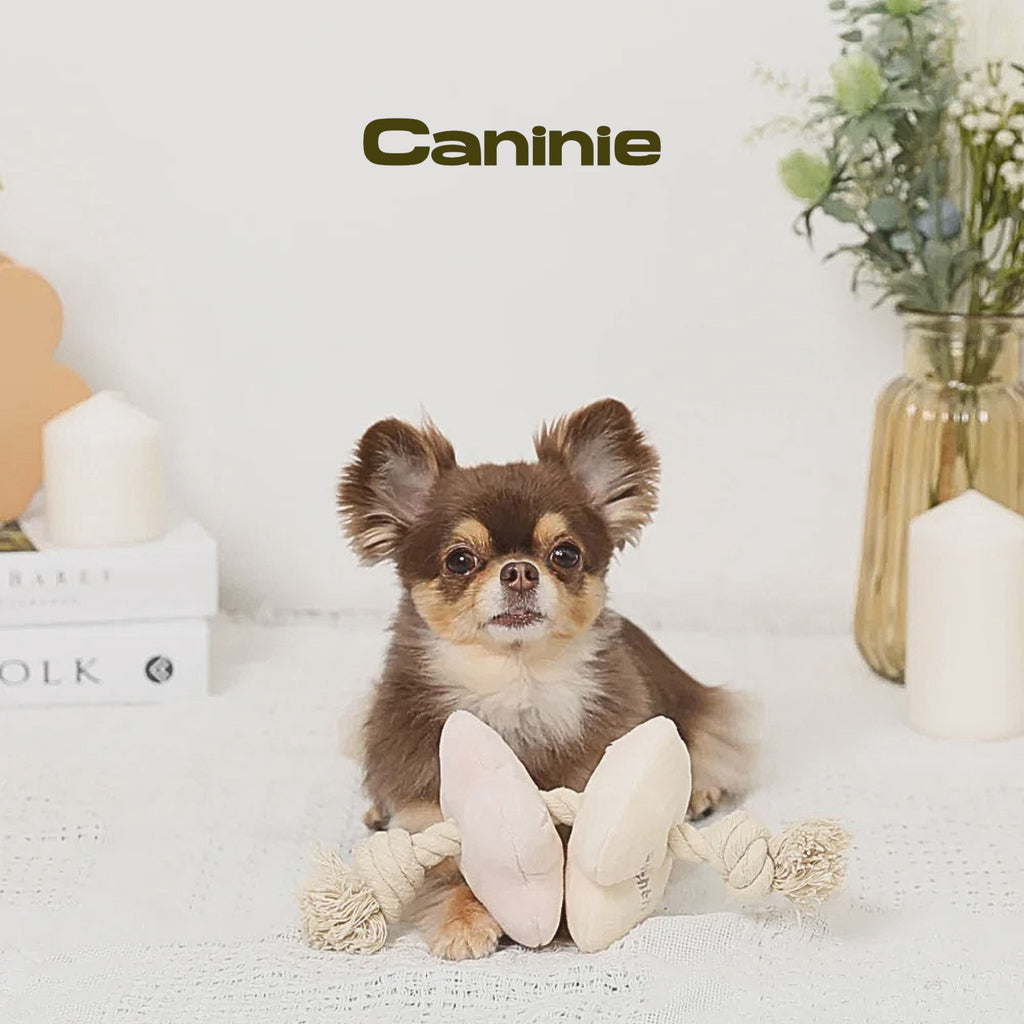 Caninie-Monchéri Flower Nose Work Rope Toy ของเล่นสุนัขดอกไม้ซ่อนขนม เชือกของเล่นสุนัข ฝึกดมกลิ่น