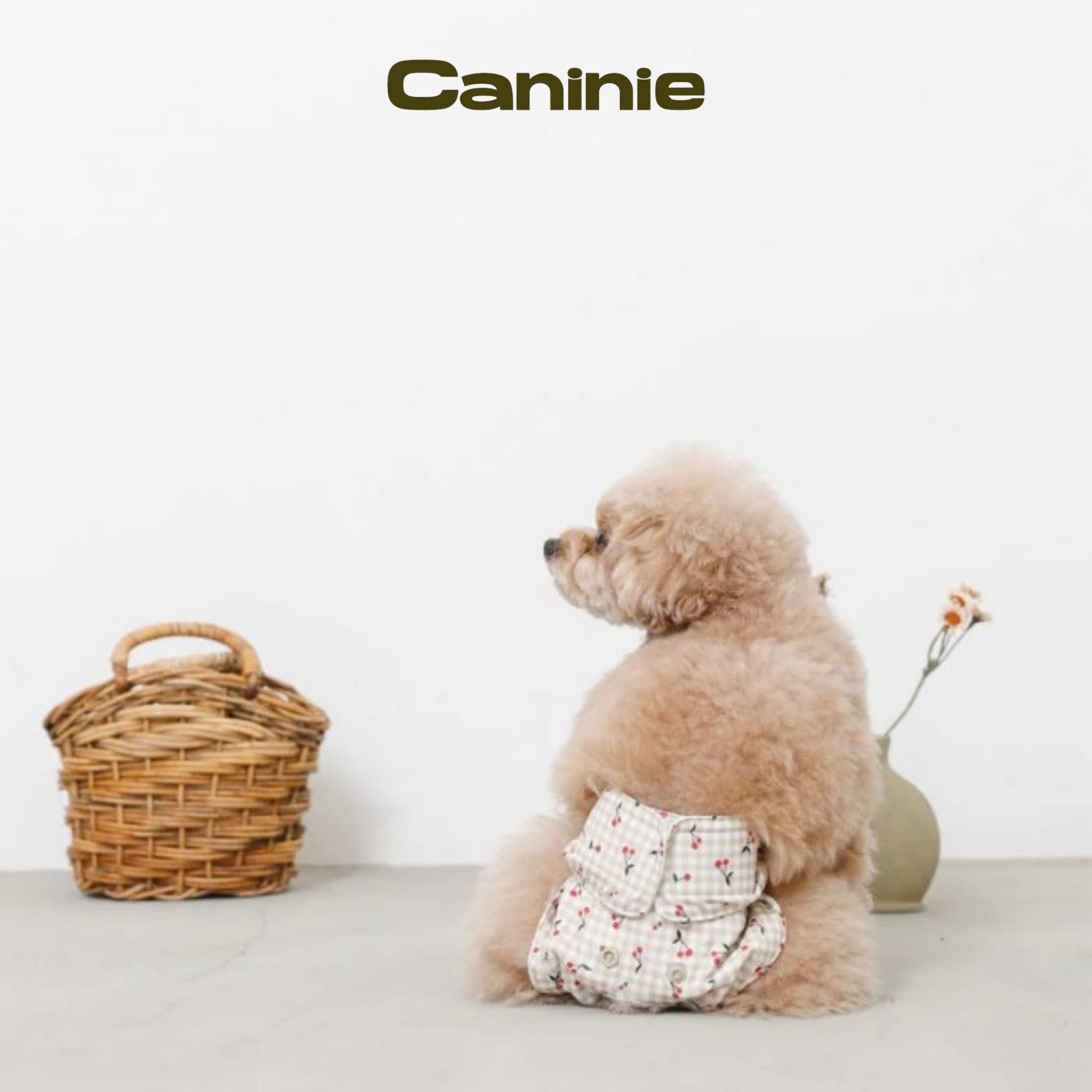 Caninie-monchéri กางเกงอนามัยสุนัข ลายเชอร์รี่
