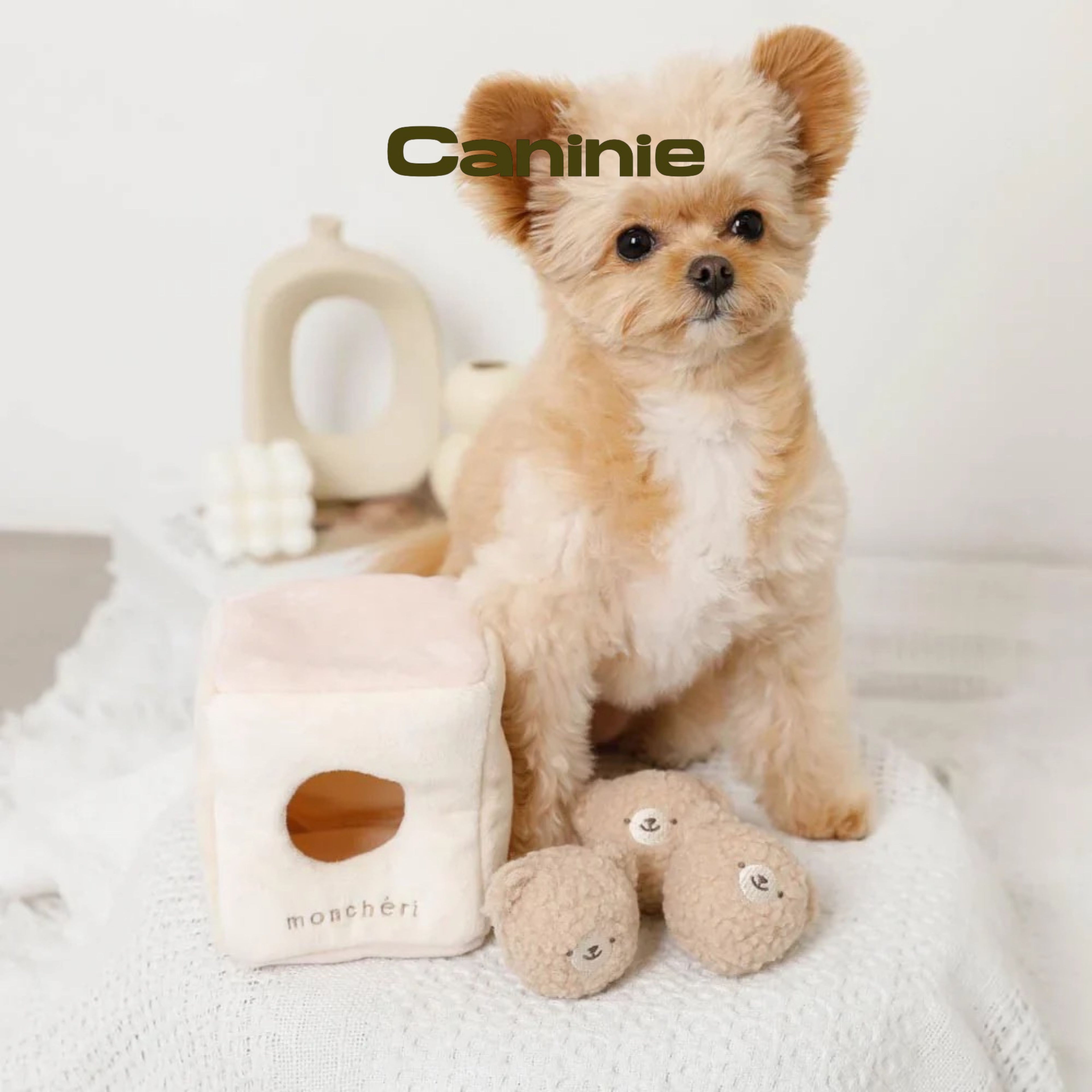 Caninie-Monchéri Kuma-san Bore Ball ของเล่นสุนัขลูกบอลหมี ของเล่นสุนัขผ้านุ่ม