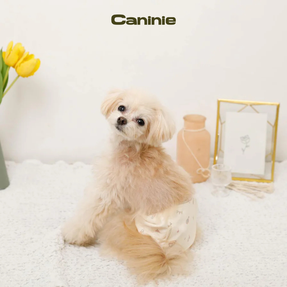 Merry-go-round pattern etiquette belt - monchéri