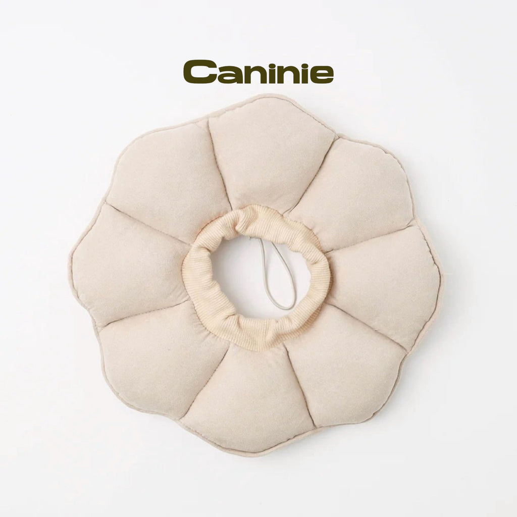 Canine-Monchéri Gingham Check Flower Elizabeth Collar