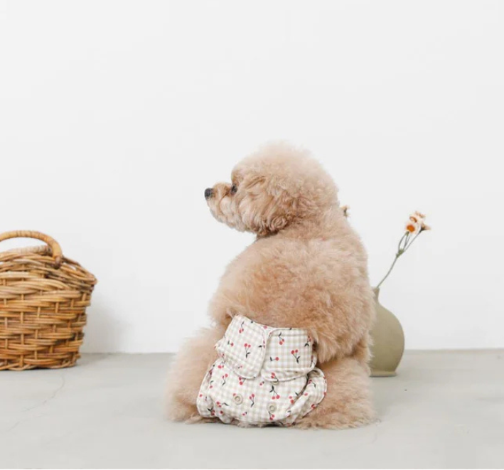 Gingham Check Cherry Print Dog Sanitary Pants - monchéri