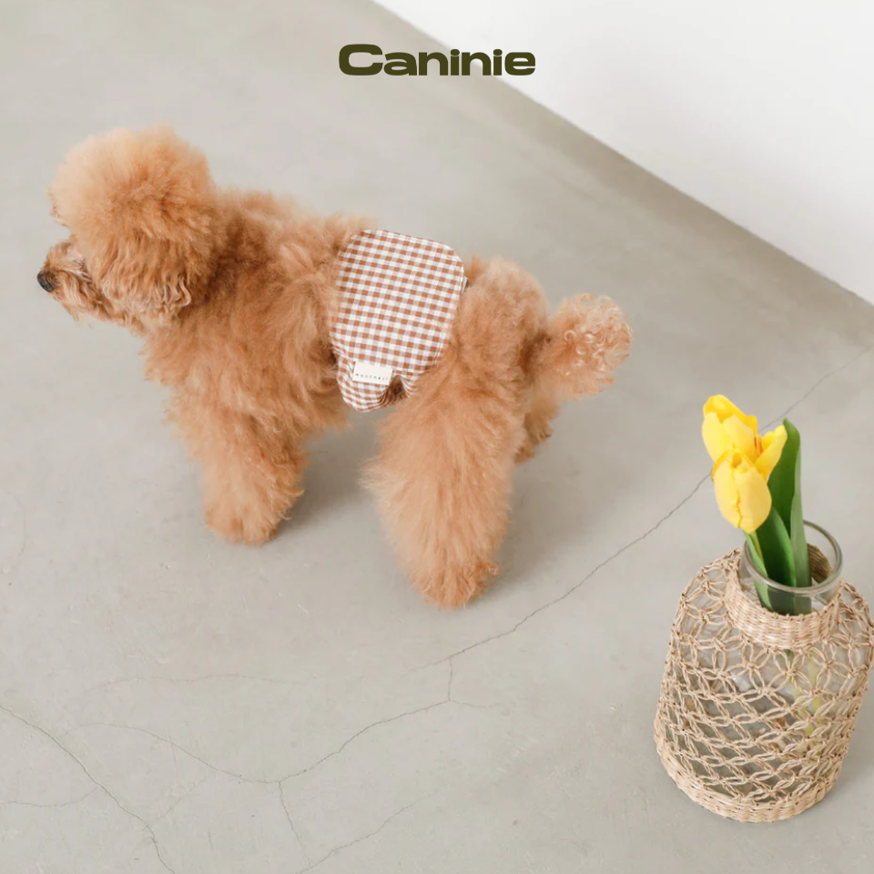 gingham check manners belt - Monchéri