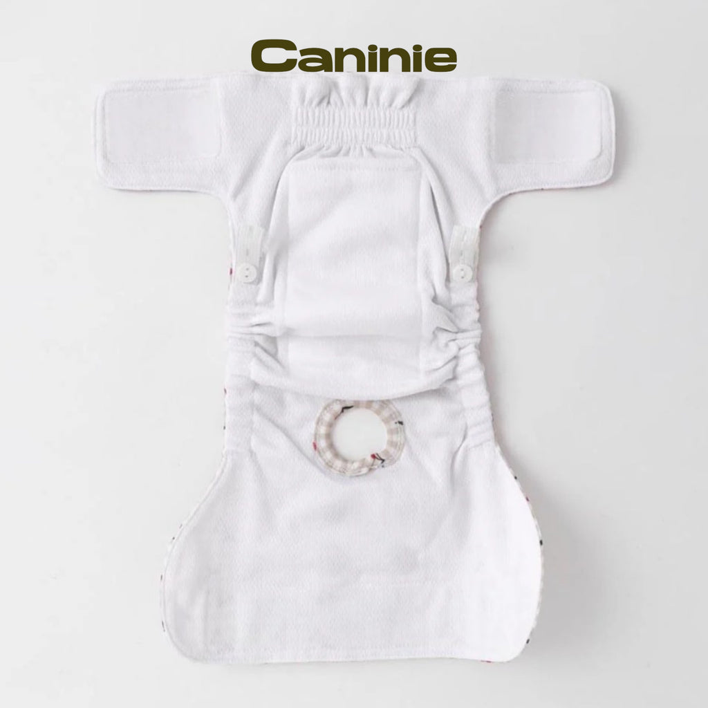 Caninie-monchéri กางเกงอนามัยสุนัข ลายเชอร์รี่