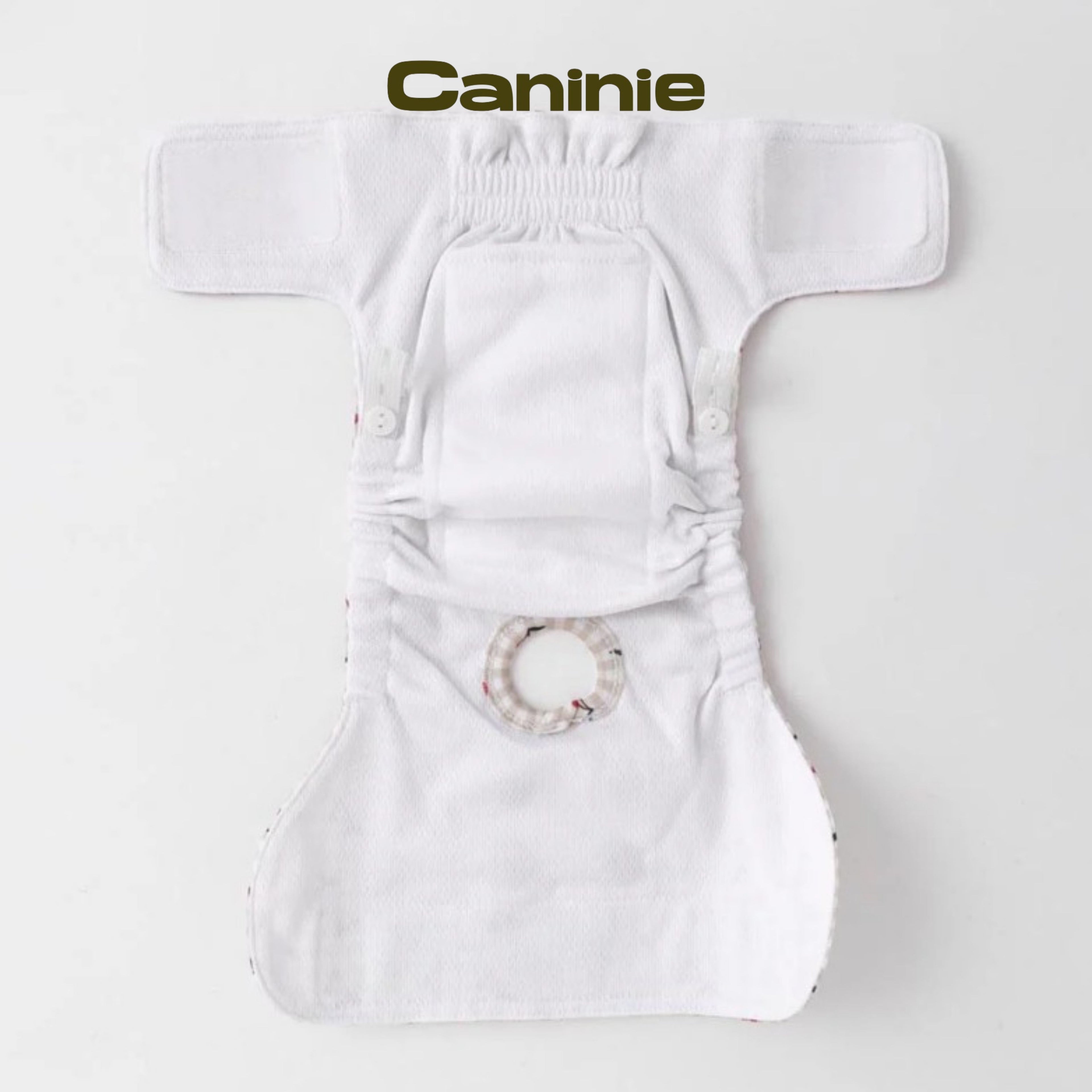 Caninie-monchéri กางเกงอนามัยสุนัข ลายเชอร์รี่