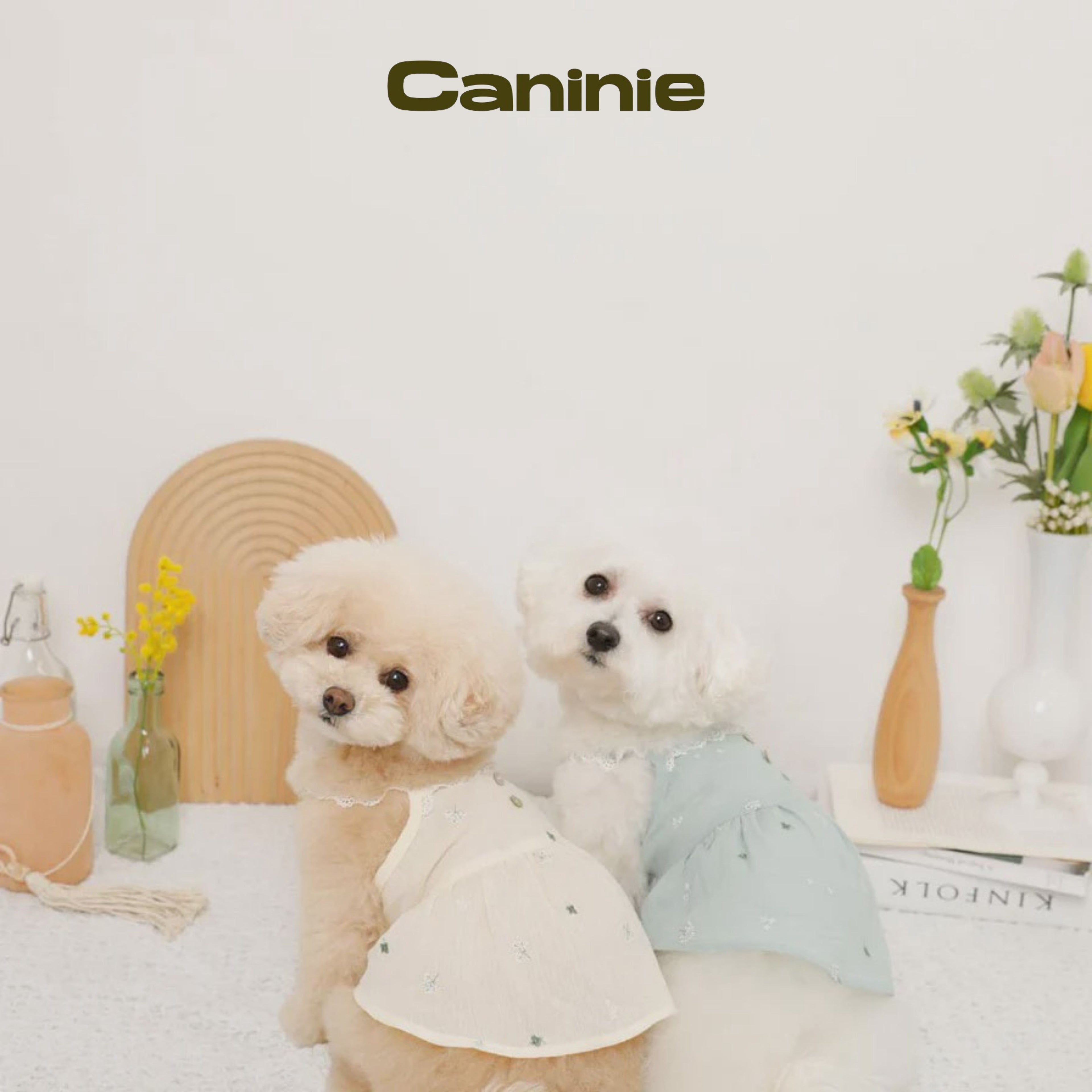 Caninie-monchéri เดรสสุนัขสายเดี่ยวลูกไม้ ลายปักดอกไม้