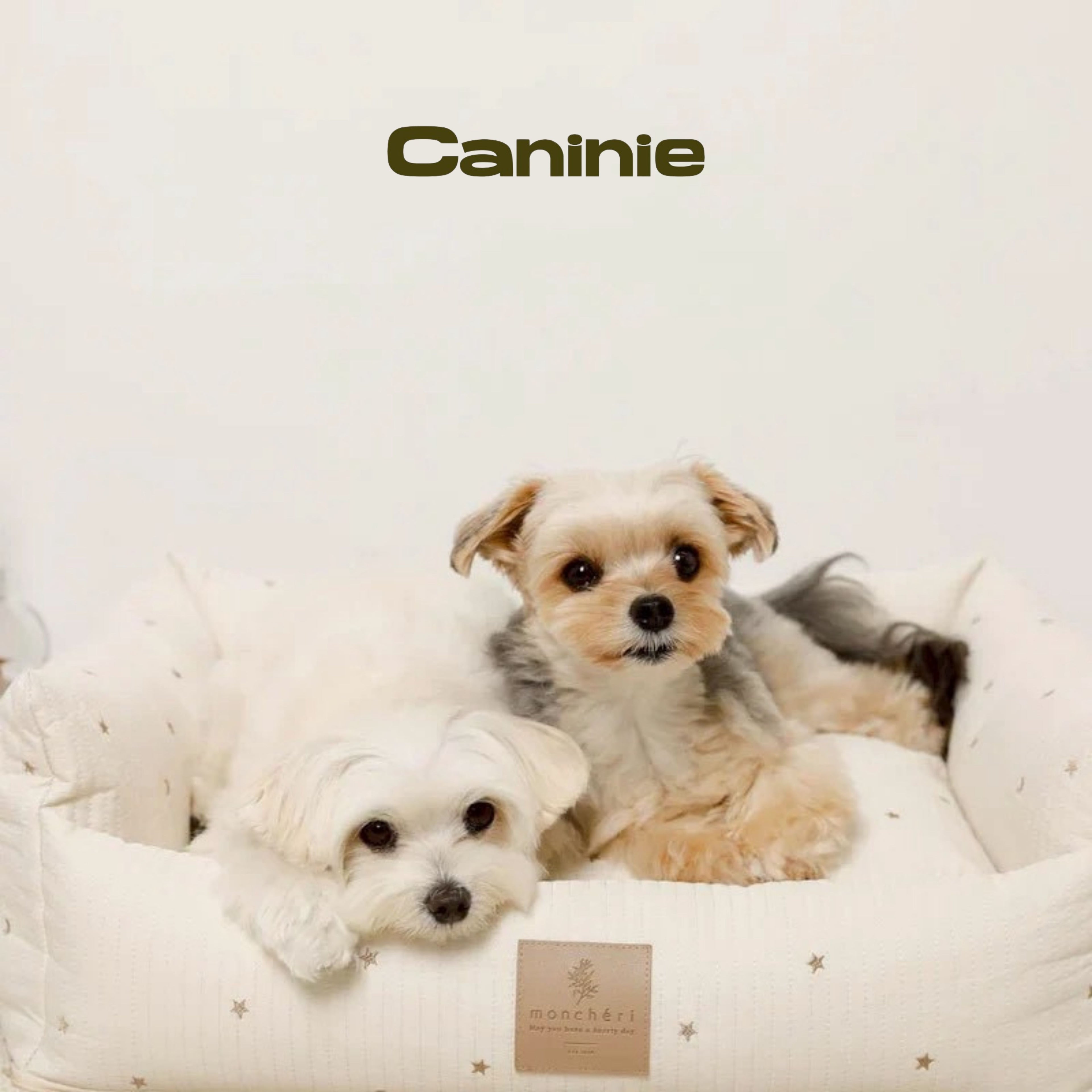 Canine-Monchéri Stars and Moon Pattern Pile Pet Cart Cushion Mat เบาะรองรถเข็นสัตว์เลี้ยง ลายดาวพระจันทร์ ผ้าพายล์นุ่ม สำหรับสุนัขและแมว