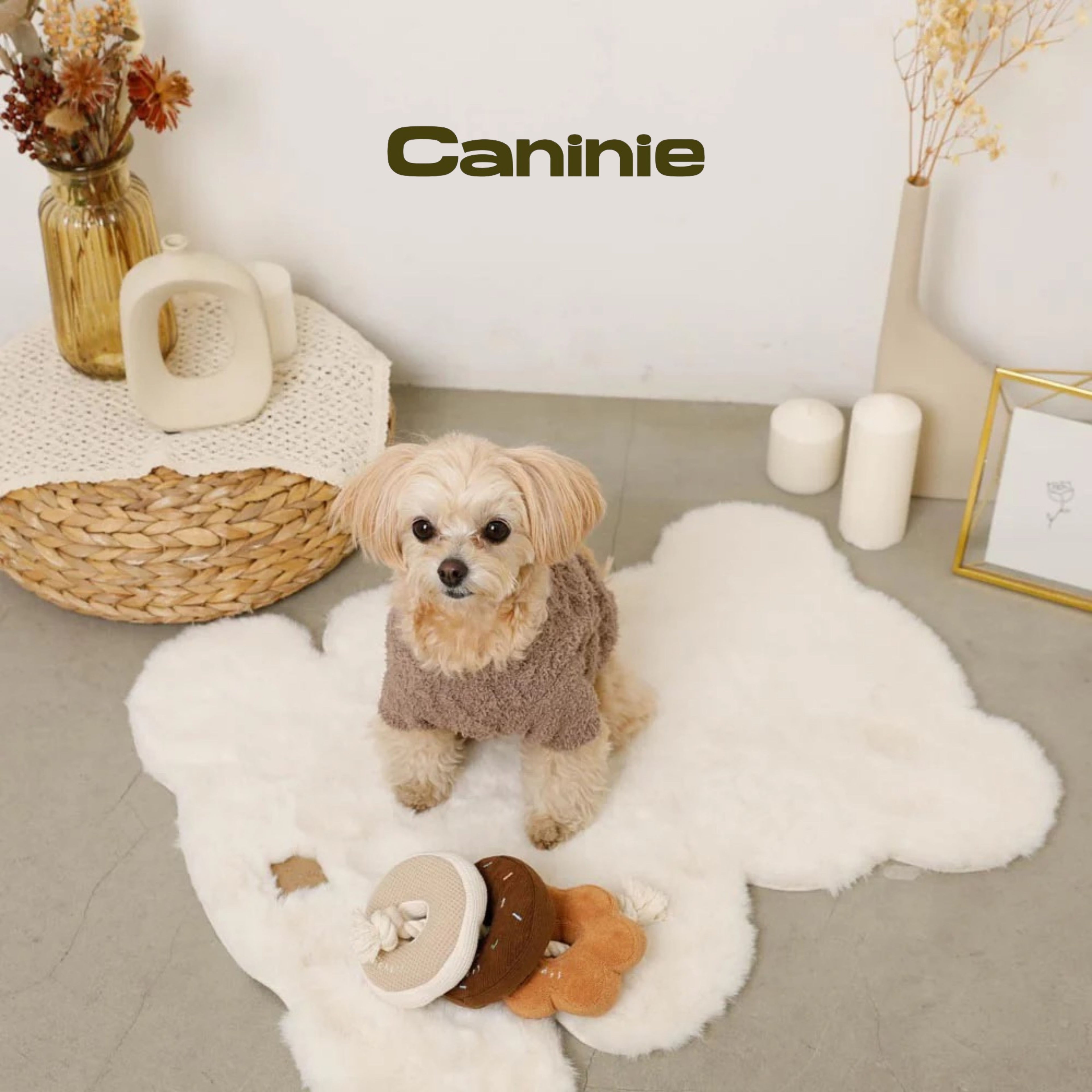 Caninie-Monchéri Nose Work Donut Toy ของเล่นโดนัทซ่อนขนมสำหรับสุนัข ของเล่นฝึกดมกลิ่นสุนัข เสริมพัฒนาการและลดความเครียด