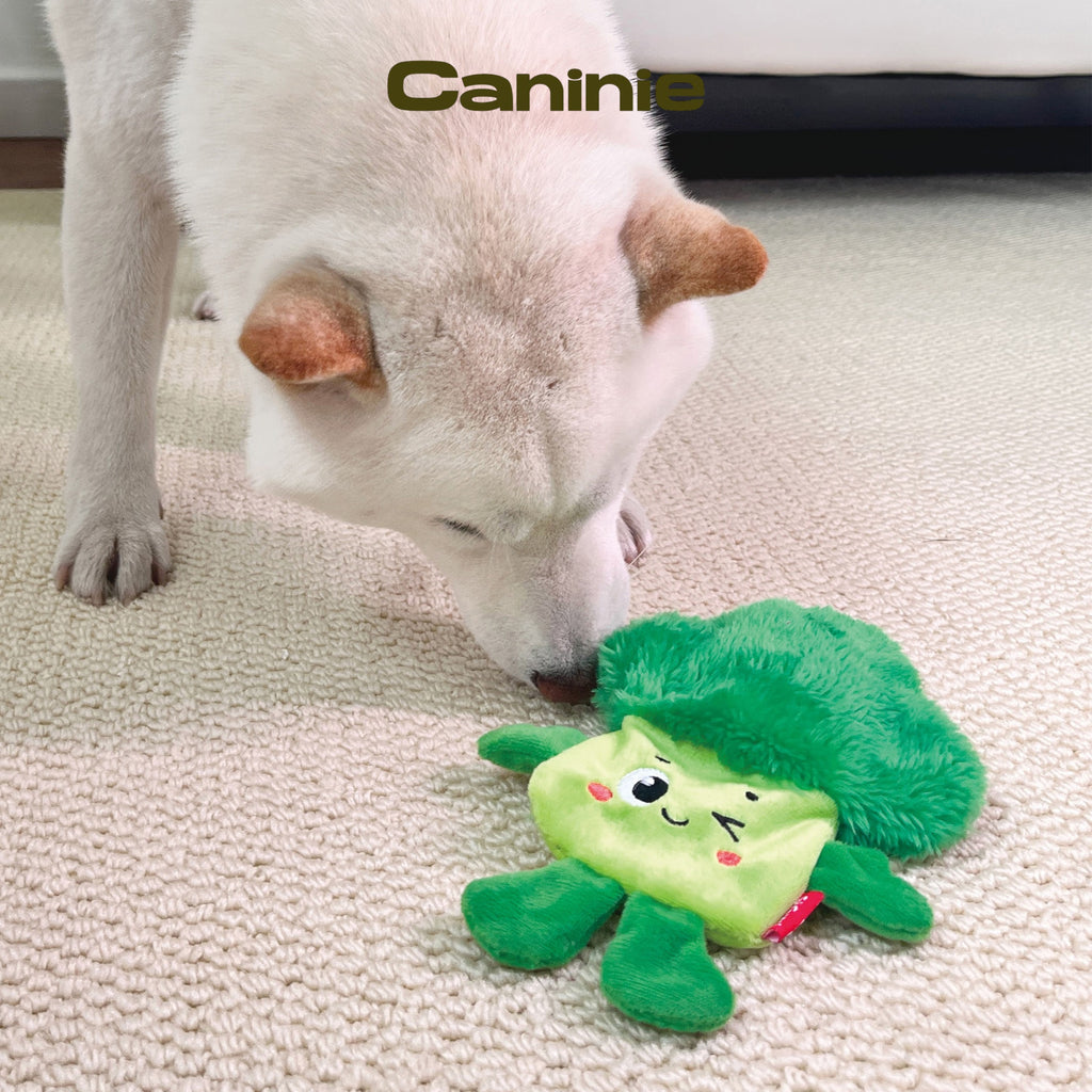 Caninie ตุ๊กตาของเล่นหมา ผ้านุ่ม มีเสียง Gigwi