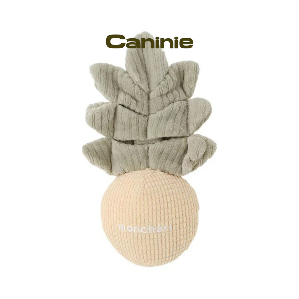 Caninie- Monchéri Pineapple Nose Work Toy ของเล่นสุนัขสับปะรดซ่อนขนม ของเล่นฝึกดมกลิ่นสุนัข