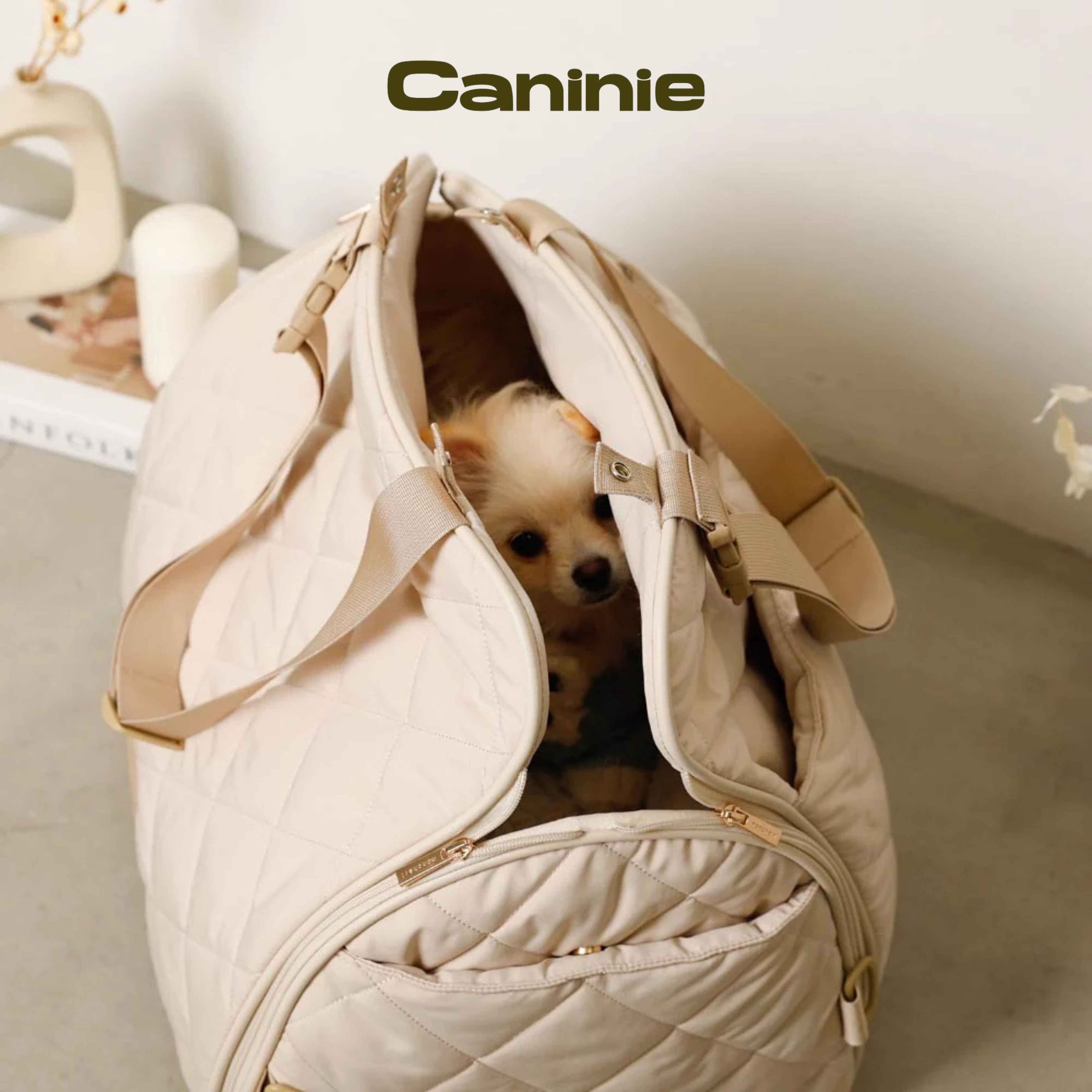 Caninie-Monchéri Quilting Triangle Drive Pet Bag กระเป๋าสะพายสุนัขทรงสามเหลี่ยม | กระเป๋าอุ้มหมา ผ้าควิลท์ พกพาสะดวก สำหรับสุนัขพันธุ์เล็ก