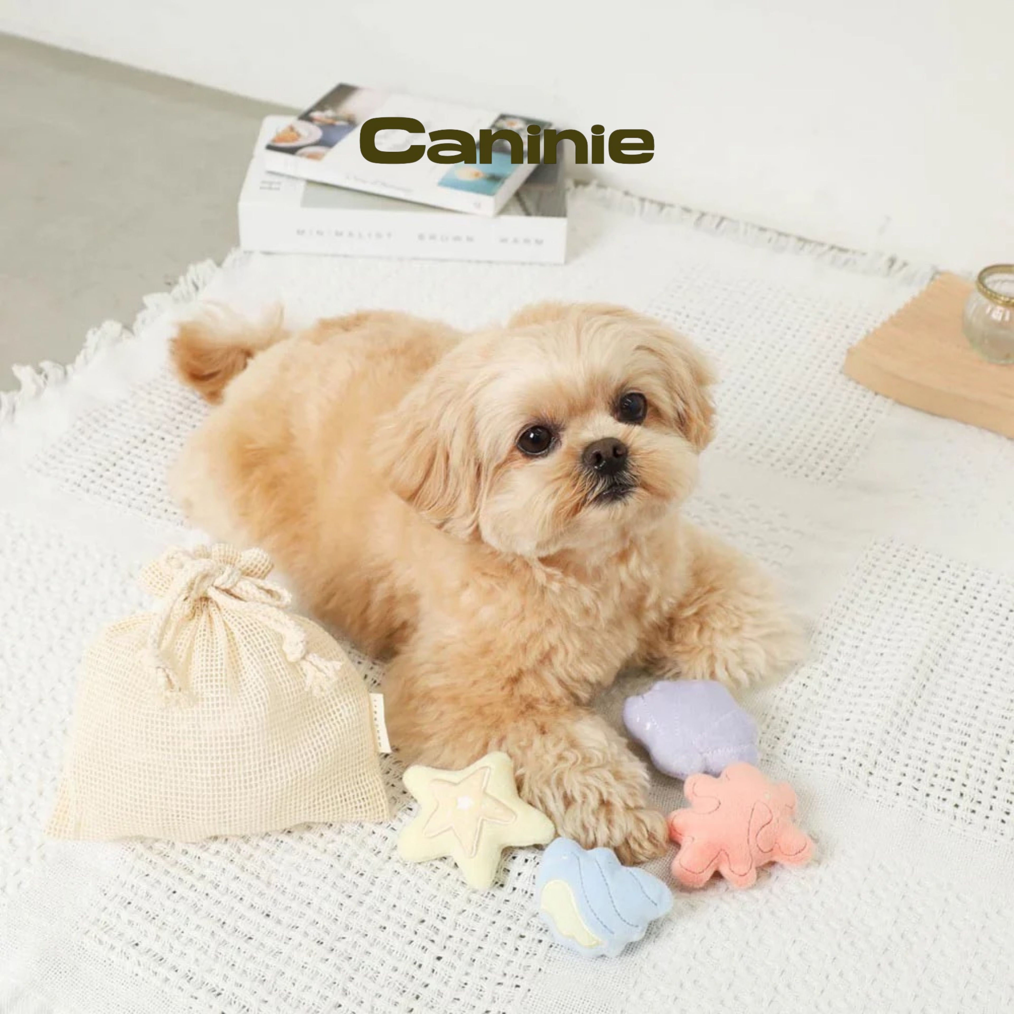 Caninie-Monchéri Friends of Shells Nose Work Toy Set ของเล่นสุนัขซ่อนขนม เซตหอยทะเล พร้อมถุงผ้ารูด ของเล่นฝึกดมกลิ่นสุนัข