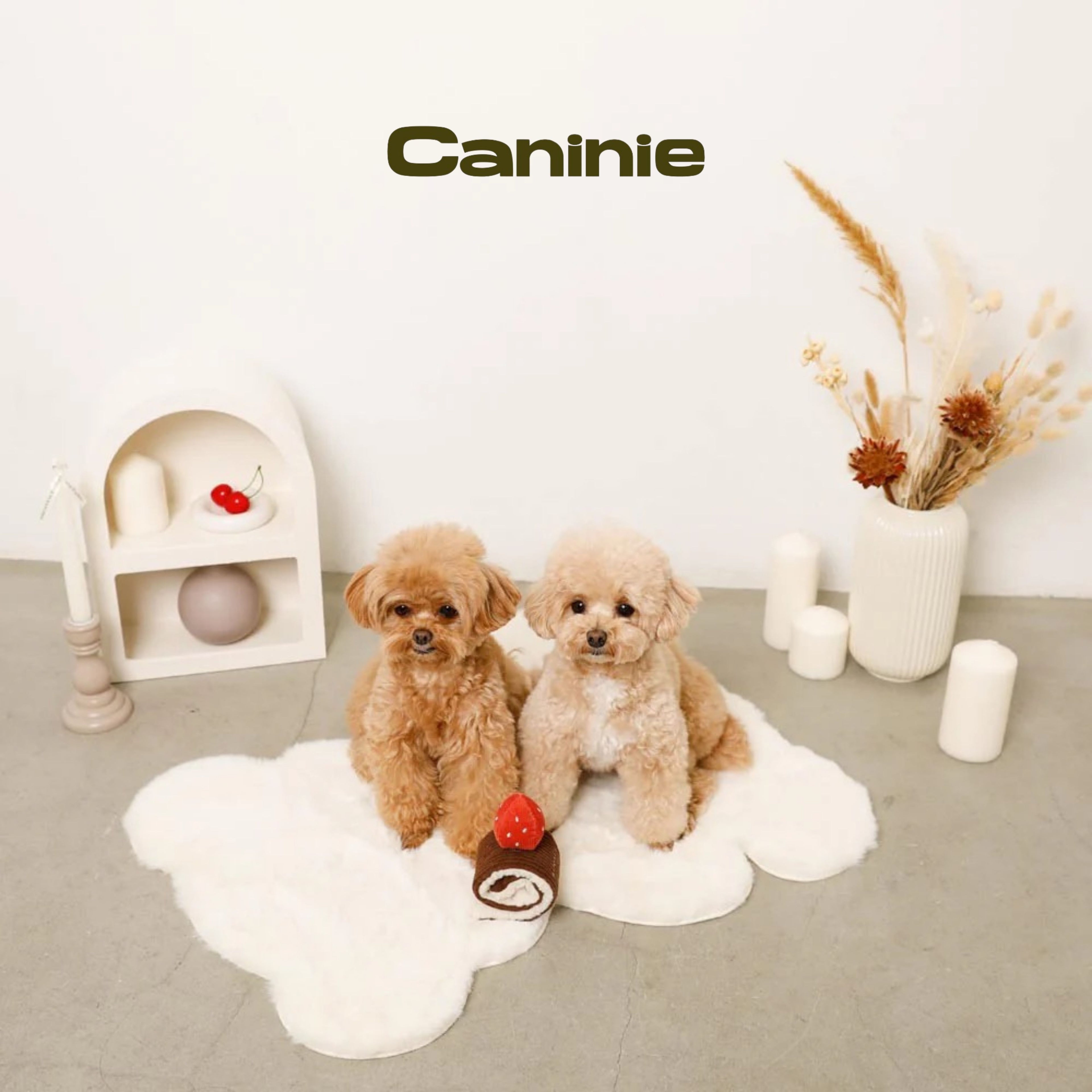 Caninie-Monchéri ของเล่นสุนัข Nose Work เค้กโรลของเล่นฝึกดมกลิ่นสุนัข ของเล่นเสริมพัฒนาการสัตว์เลี้ยง