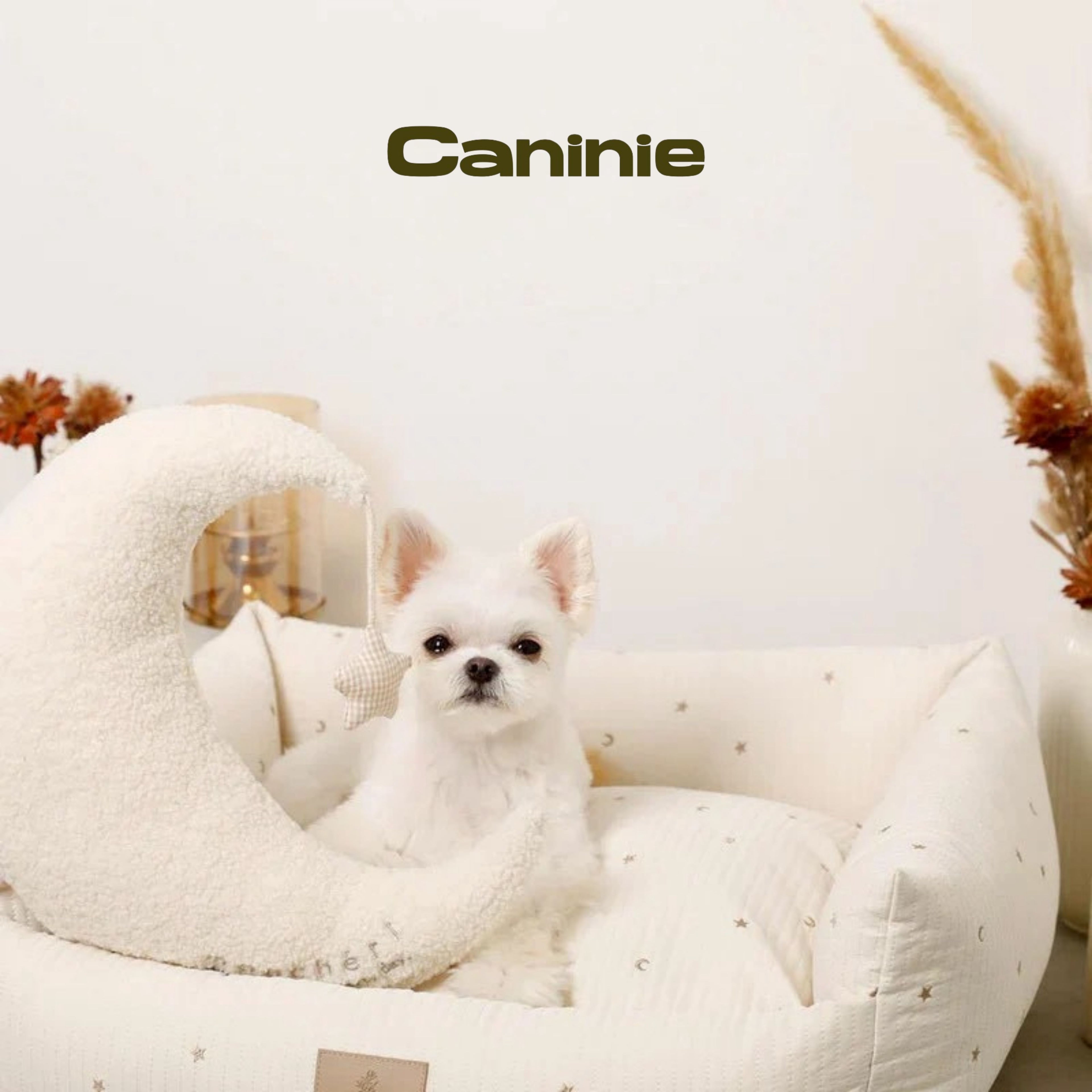Canine-Monchéri Stars and Moon Pattern Pile Pet Cart Cushion Mat เบาะรองรถเข็นสัตว์เลี้ยง ลายดาวพระจันทร์ ผ้าพายล์นุ่ม สำหรับสุนัขและแมว