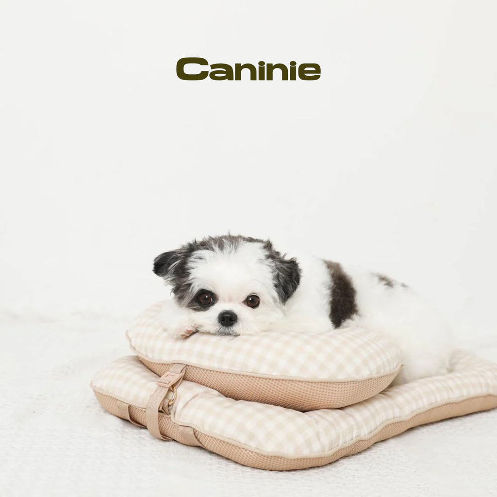 Caninie-Monchéri Pet Cushion Mat เบาะรองนอนสำหรับสัตว์เลี้ยง