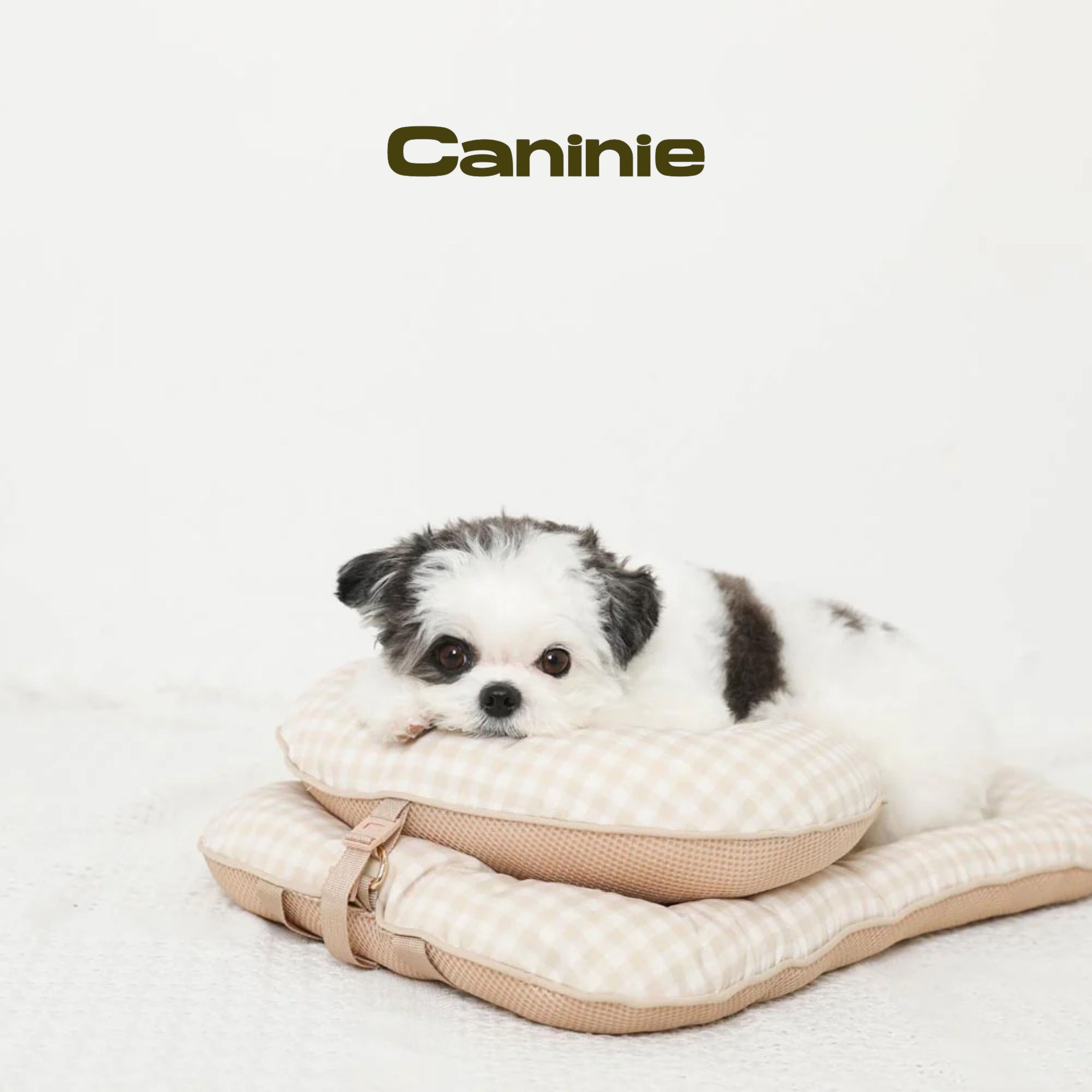 Caninie-Monchéri Pet Cushion Mat เบาะรองนอนสำหรับสัตว์เลี้ยง