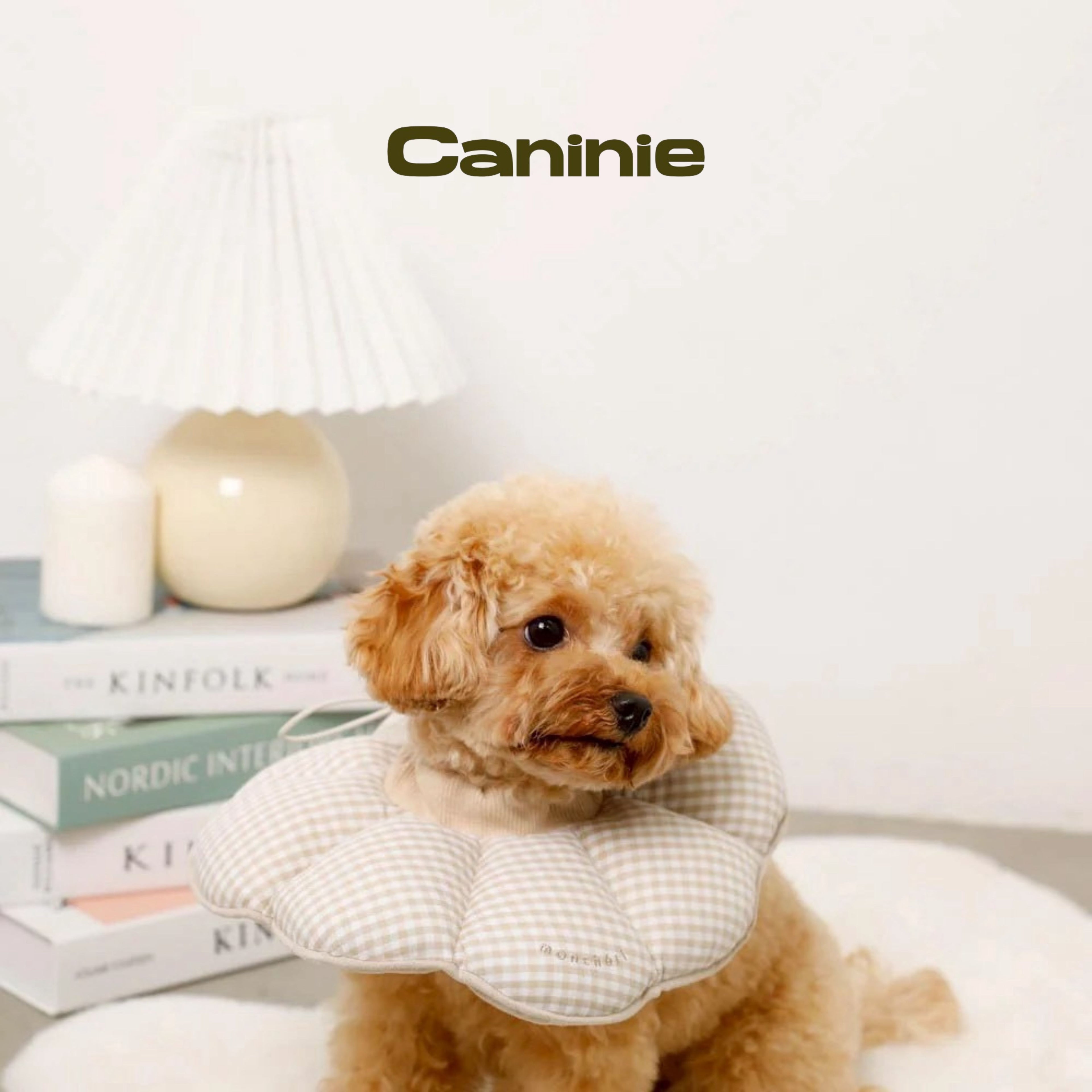 Canine-Monchéri Gingham Check Flower Elizabeth Collar