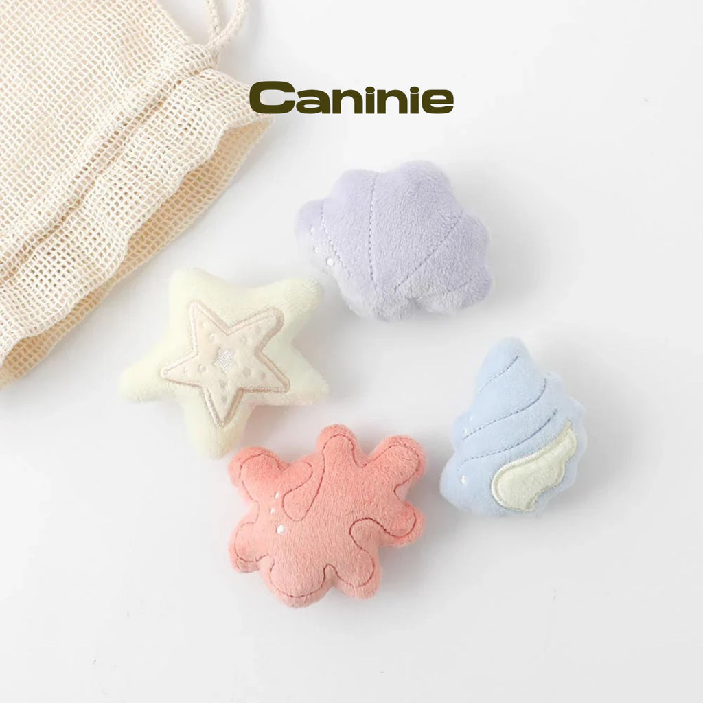 Caninie-Monchéri Friends of Shells Nose Work Toy Set ของเล่นสุนัขซ่อนขนม เซตหอยทะเล พร้อมถุงผ้ารูด ของเล่นฝึกดมกลิ่นสุนัข
