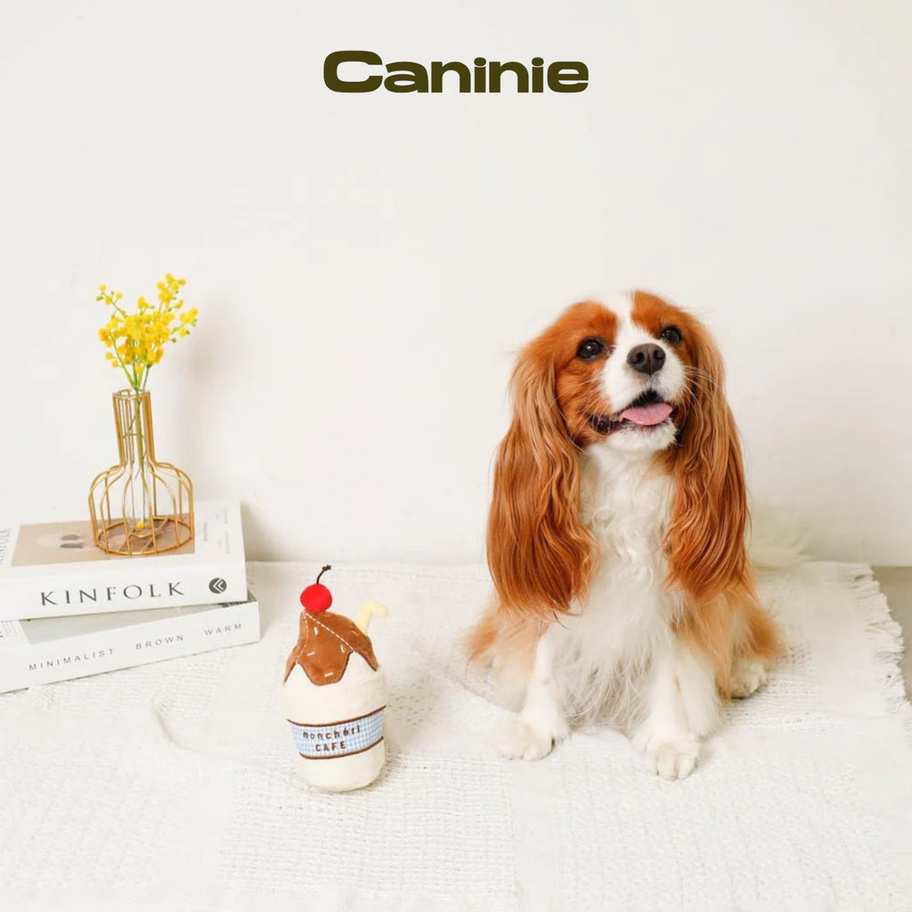 Caninie-Monchéri Chocolate Whipped Drink Toy  (ของเล่นสุนัขรูปแก้วช็อกโกแลตวิปครีม)