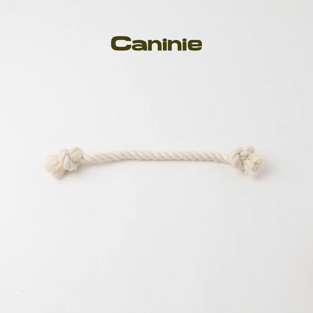 Caninie-Monchéri Nose Work Donut Toy ของเล่นโดนัทซ่อนขนมสำหรับสุนัข ของเล่นฝึกดมกลิ่นสุนัข เสริมพัฒนาการและลดความเครียด
