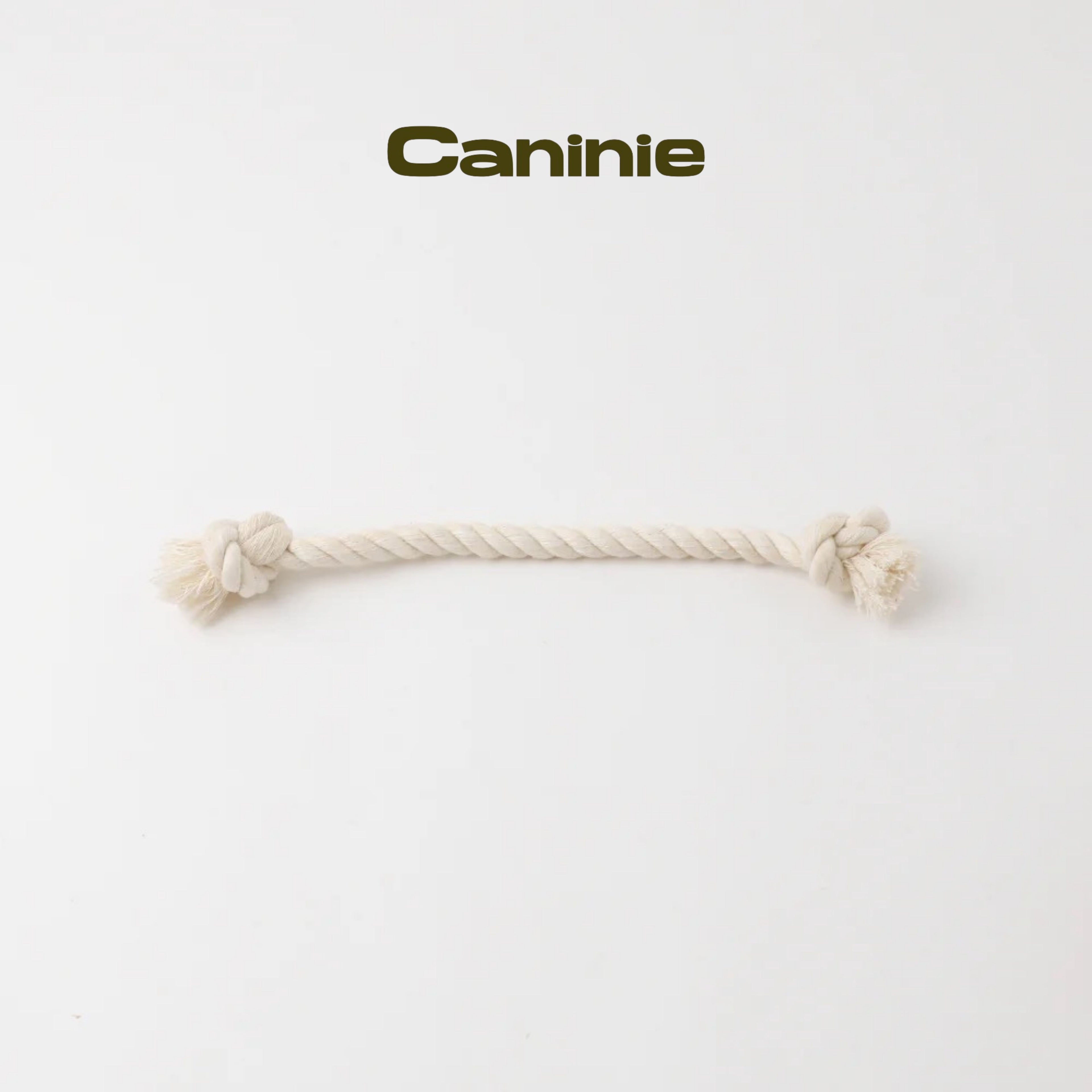 Caninie-Monchéri Nose Work Donut Toy ของเล่นโดนัทซ่อนขนมสำหรับสุนัข ของเล่นฝึกดมกลิ่นสุนัข เสริมพัฒนาการและลดความเครียด