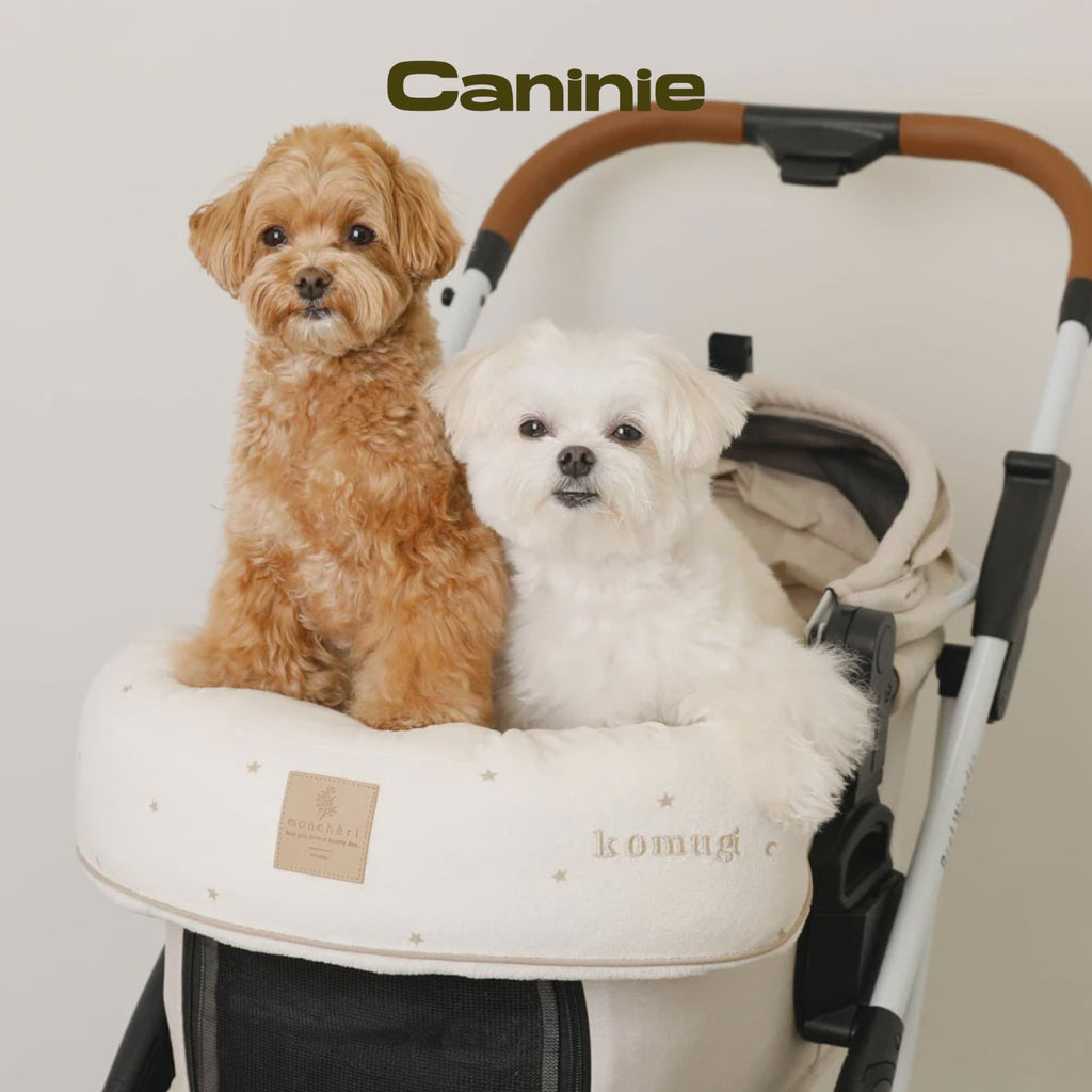 Canine-Monchéri Star & Moon Chin Cushion Cover