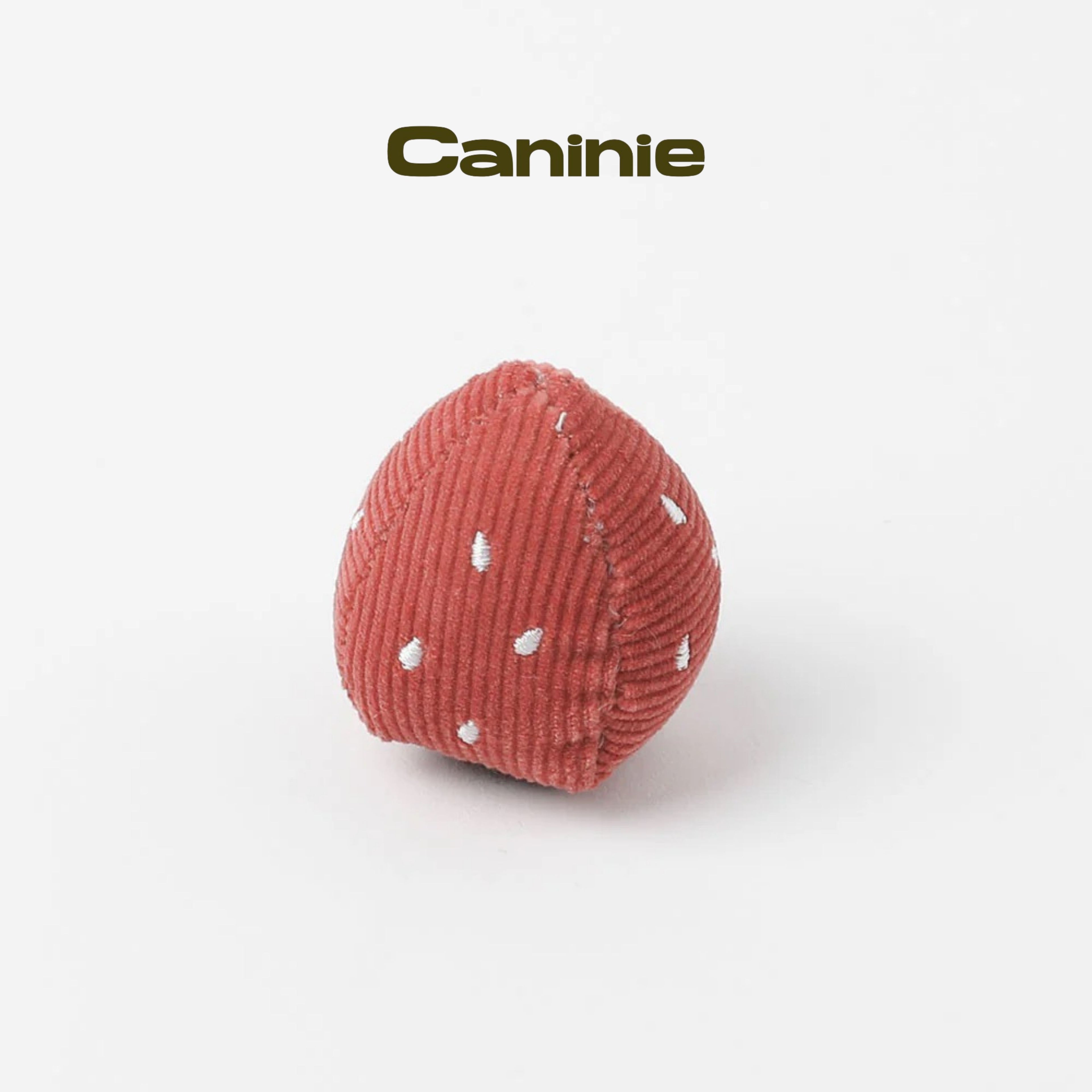 Caninie-Monchéri ของเล่นสุนัข Nose Work เค้กโรลของเล่นฝึกดมกลิ่นสุนัข ของเล่นเสริมพัฒนาการสัตว์เลี้ยง