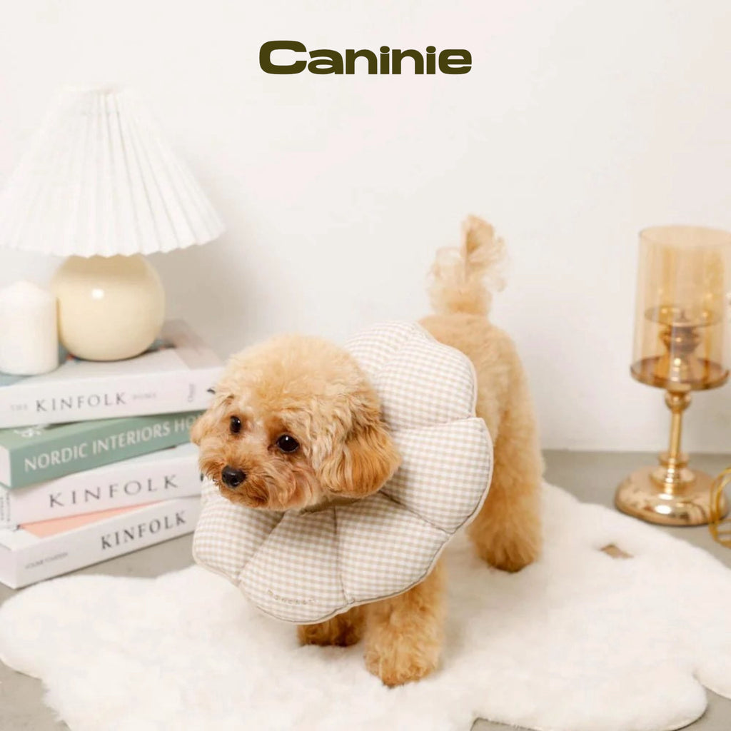 Canine-Monchéri Gingham Check Flower Elizabeth Collar