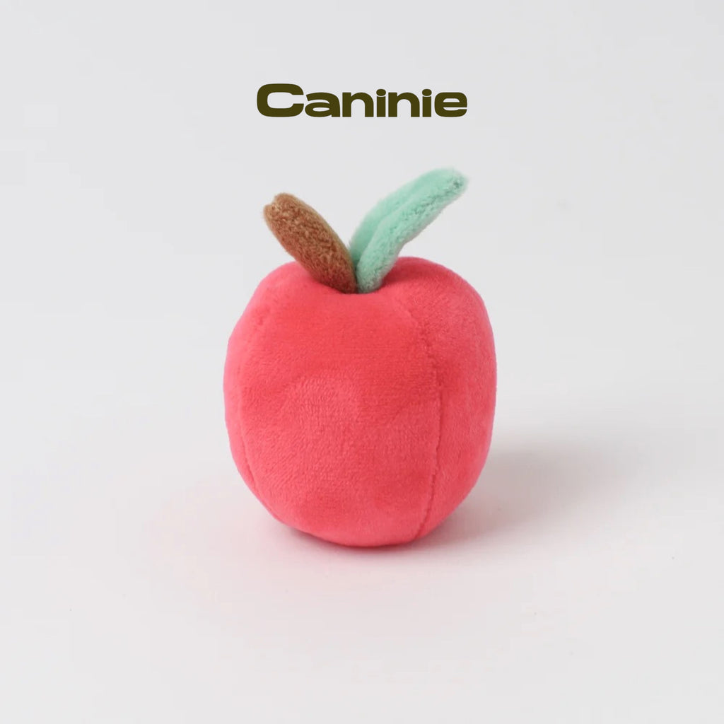 Caninie-Monchéri ชุดของเล่นปิกนิกเด็ก Picnic Set Toys ชุดปิกนิกจำลอง ของเล่นเสริมพัฒนาการ พร้อมตะกร้าและอุปกรณ์อาหาร