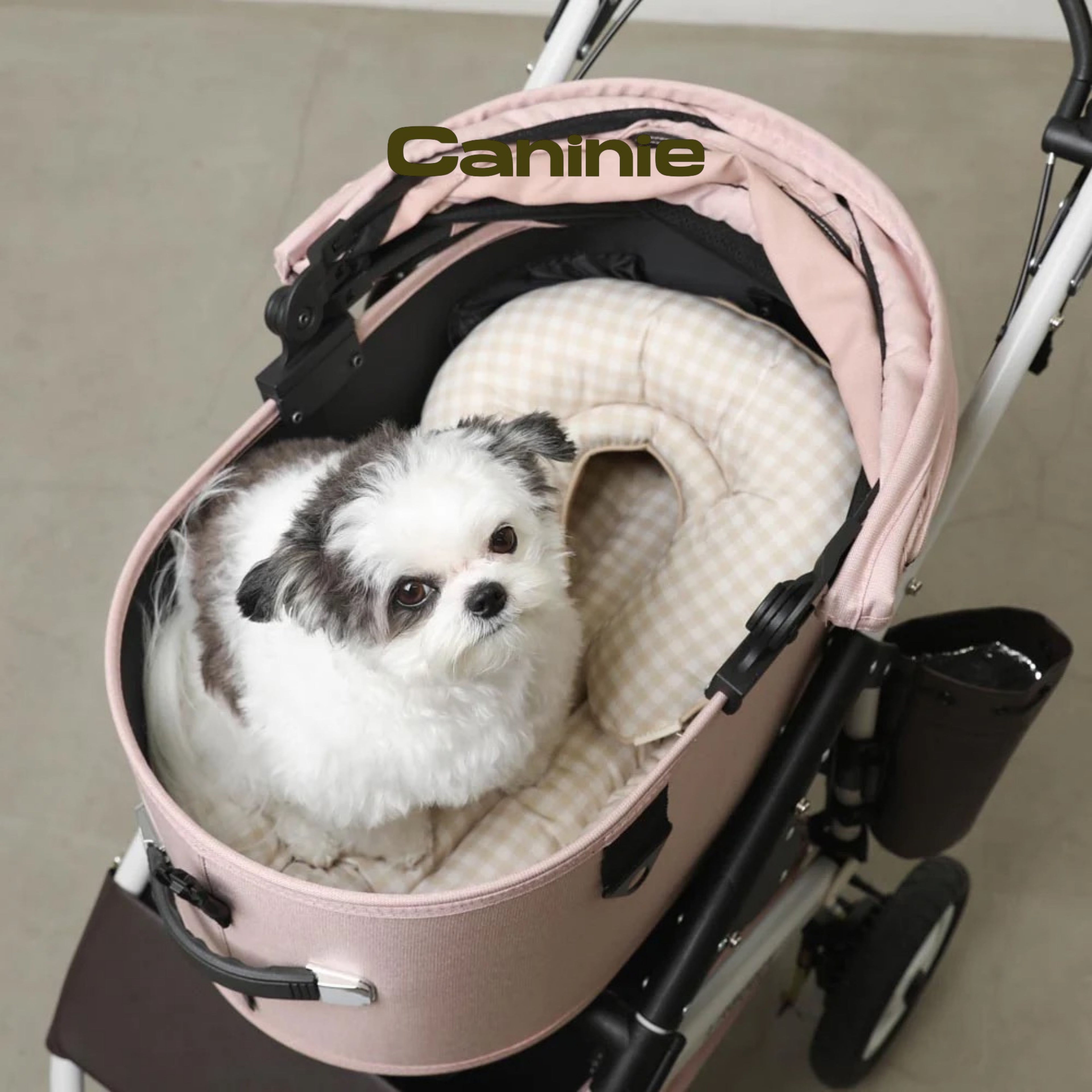 Caninie-Monchéri Pet Cushion Mat เบาะรองนอนสำหรับสัตว์เลี้ยง