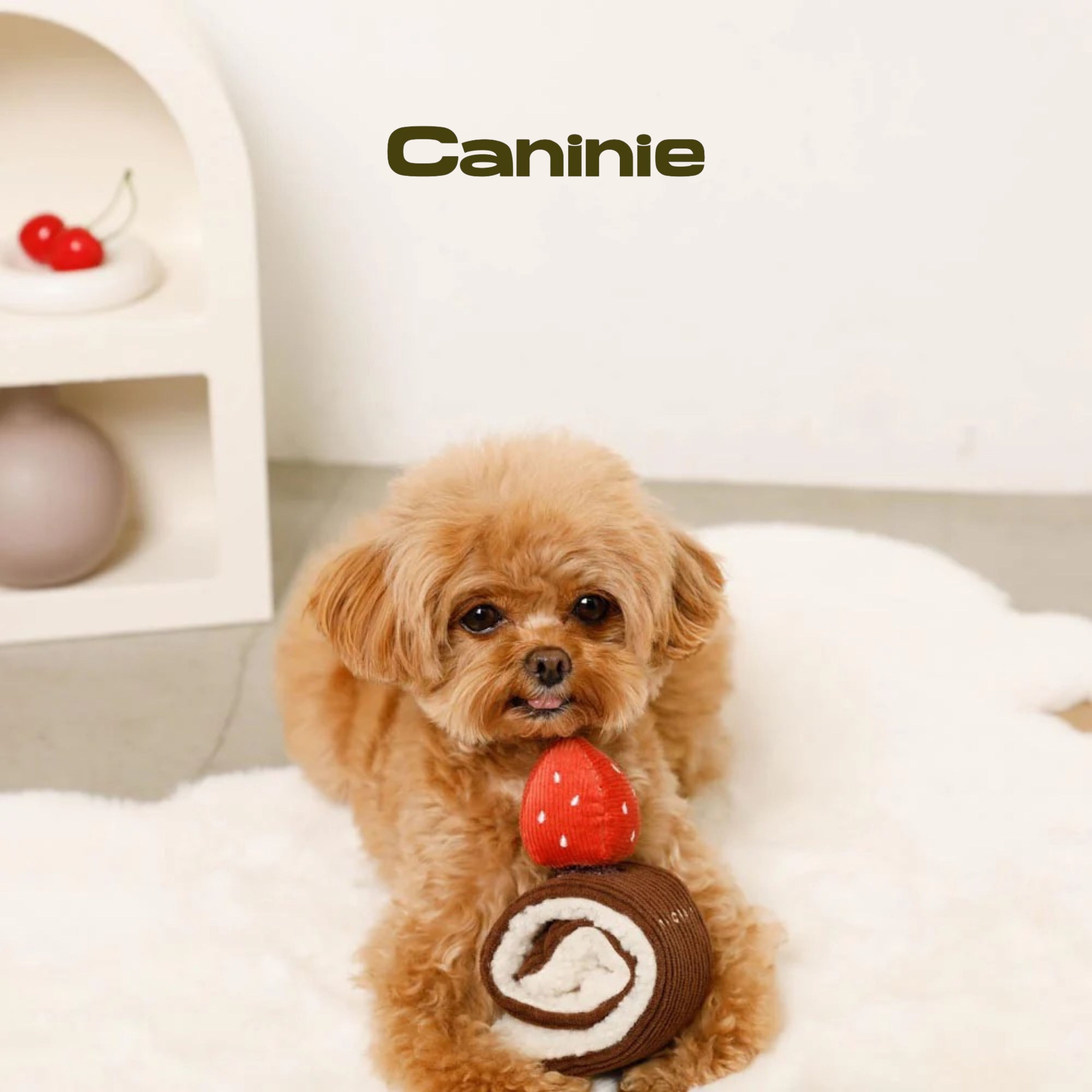 Caninie-Monchéri ของเล่นสุนัข Nose Work เค้กโรลของเล่นฝึกดมกลิ่นสุนัข ของเล่นเสริมพัฒนาการสัตว์เลี้ยง
