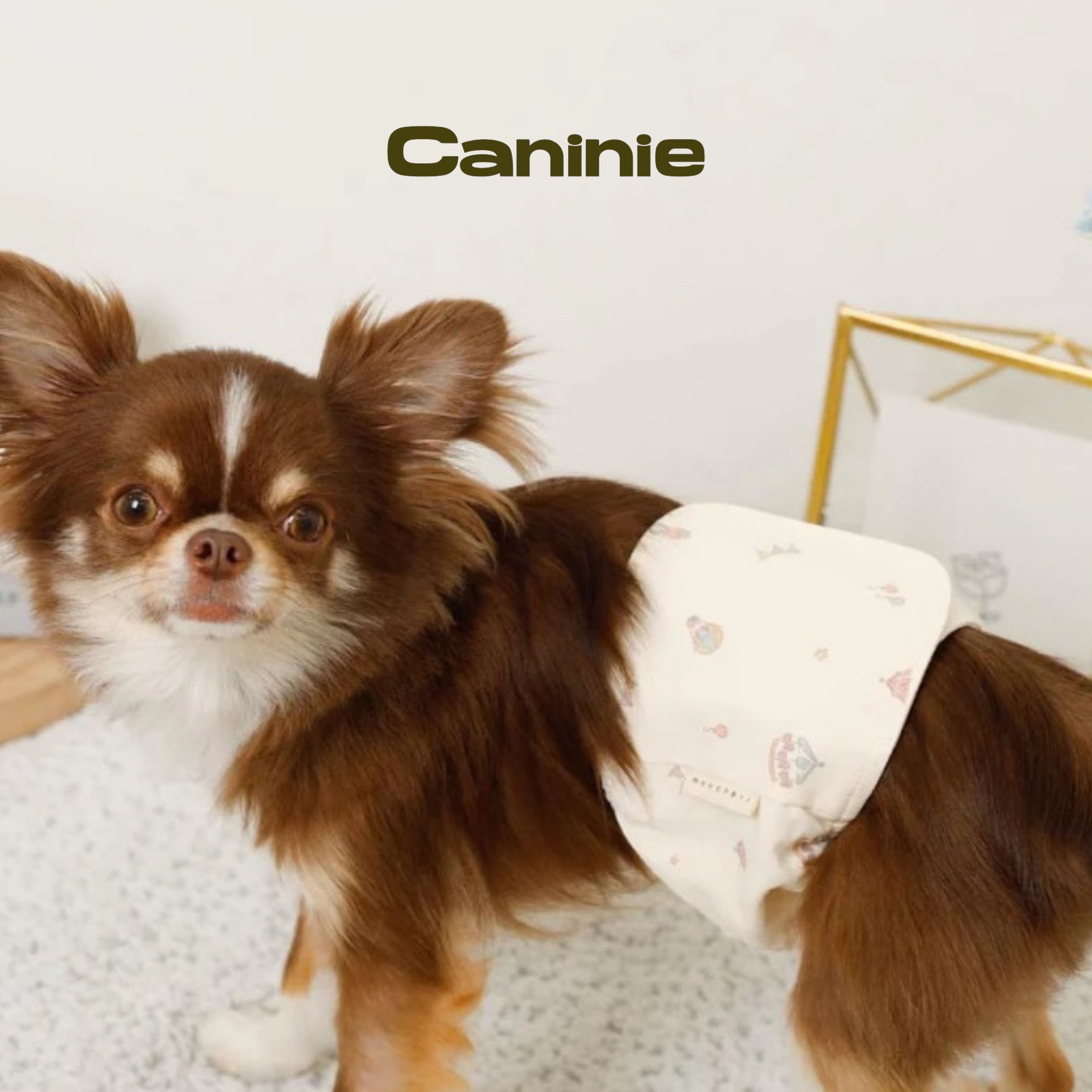 Caninie-monchéri กางเกงอนามัยสุนัข ลายสตรอว์เบอร์รี่ตาราง