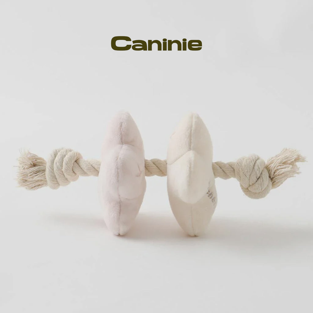 Caninie-Monchéri Flower Nose Work Rope Toy ของเล่นสุนัขดอกไม้ซ่อนขนม เชือกของเล่นสุนัข ฝึกดมกลิ่น