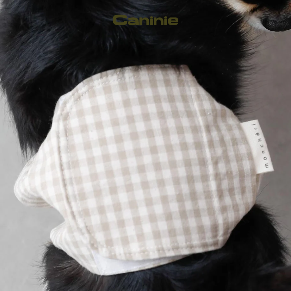 gingham check manners belt - Monchéri