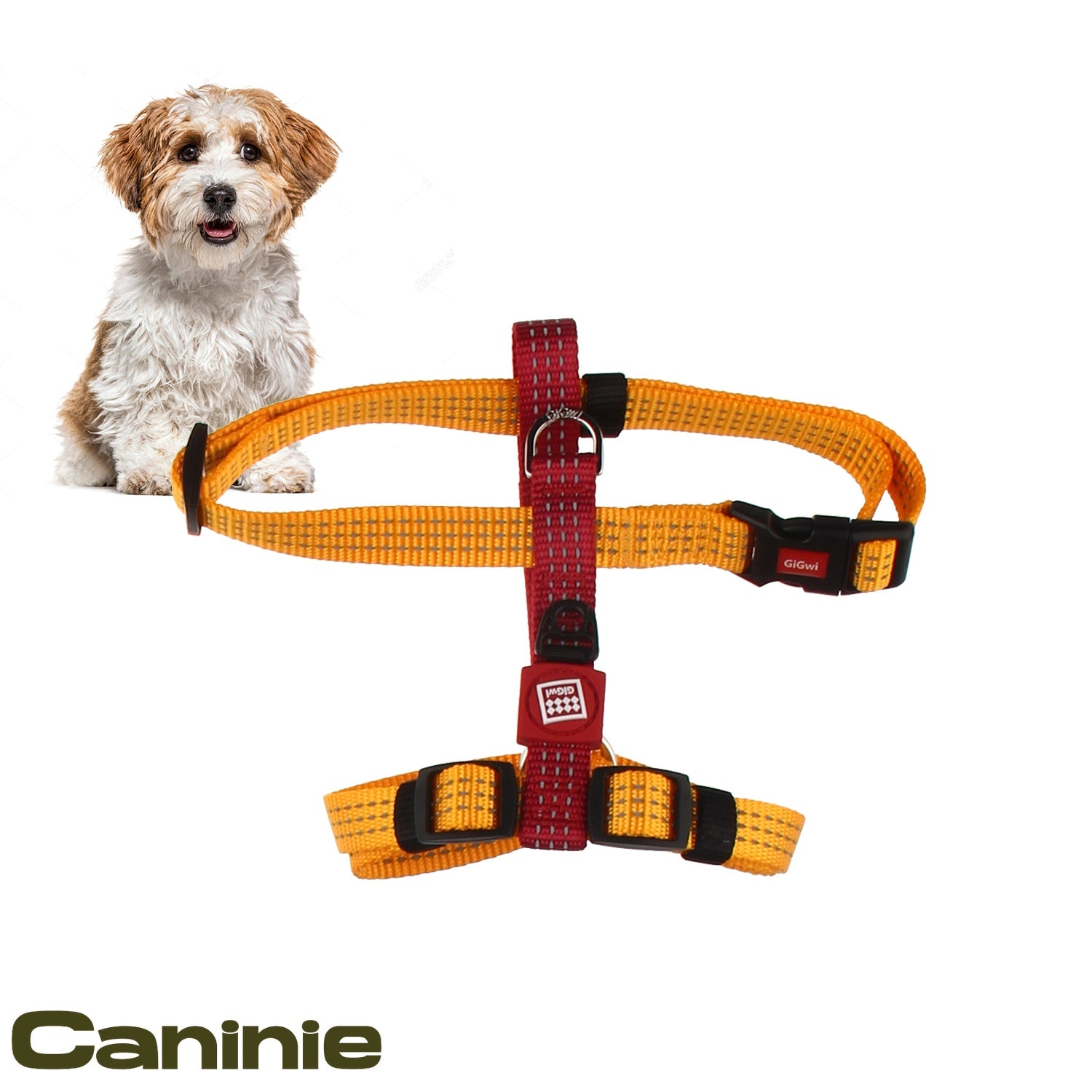 Caninie ปลอกคอสัตว์เลี้ยงดีไซน์เรียบใช้งานง่าย
