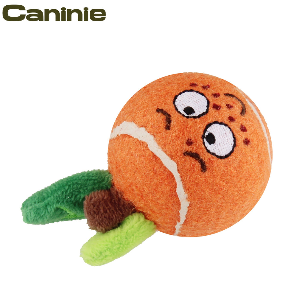 Caninie Ball Originals ของเล่นลูกบอลสำหรับสุนัข GiGwi Ball Originals ของเล่นลูกบอลสำหรับสุนัข