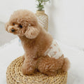 Caninie-monchéri โอบิสุนัขเพศชาย ลายหมีคุมะซัง