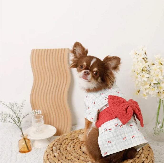 Caninie-monchéri ชุดยูกาตะสุนัข ลายตารางเชอร์รี่