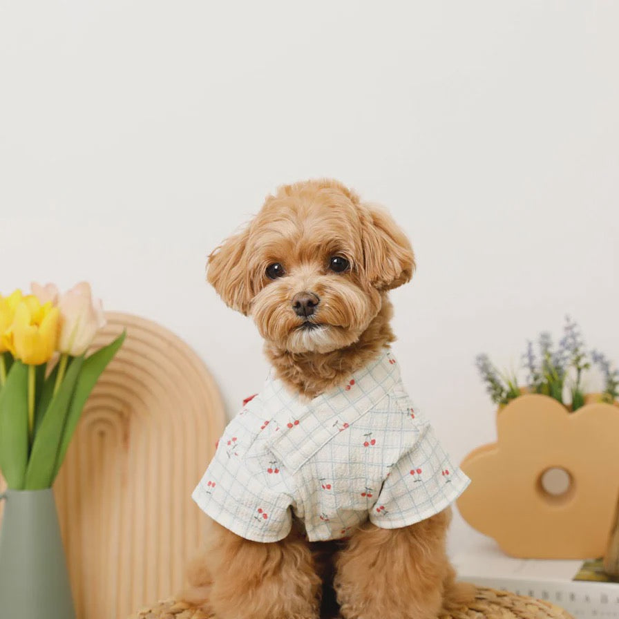 Caninie-monchéri ชุดยูกาตะสุนัข ลายตารางเชอร์รี่