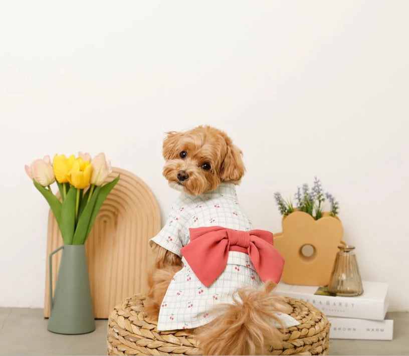 Caninie-monchéri ชุดยูกาตะสุนัข ลายตารางเชอร์รี่
