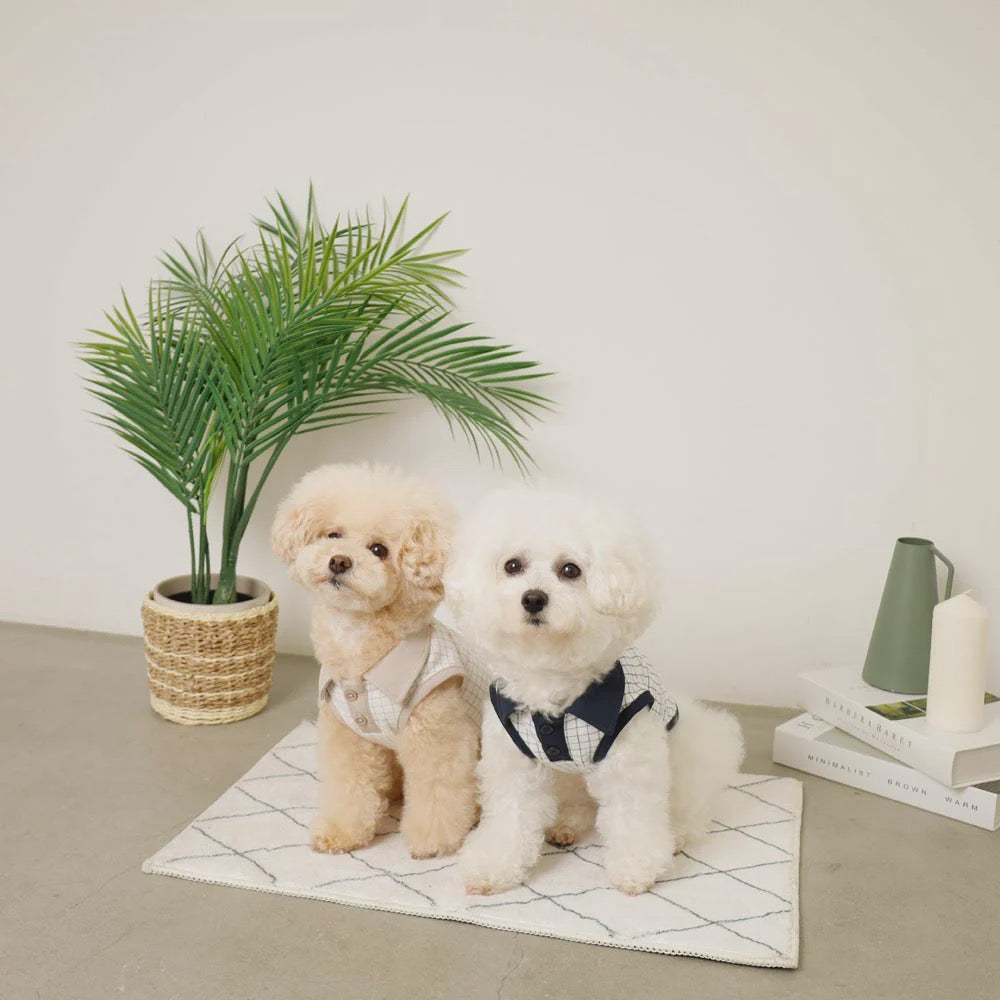 Caninie-Monchéri Cool Window Pen Check Pattern Sleeveless Top เสื้อสุนัขแขนกุดลายตาราง สี Beige | เสื้อผ้าสุนัขสไตล์ญี่ปุ่น