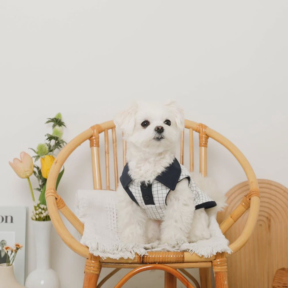 Caninie-Monchéri Cool Window Pen Check Pattern Sleeveless Top  เสื้อสุนัขแขนกุดลายตาราง Window Pen ระบายอากาศดี สไตล์ญี่ปุ่น