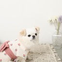Caninie-Monchéri Cool Watercolor Strawberry Pattern Yukata ชุดยูกาตะสุนัขลายสตรอว์เบอร์รี่ สี Pink | ชุดสุนัขสไตล์ญี่ปุ่น