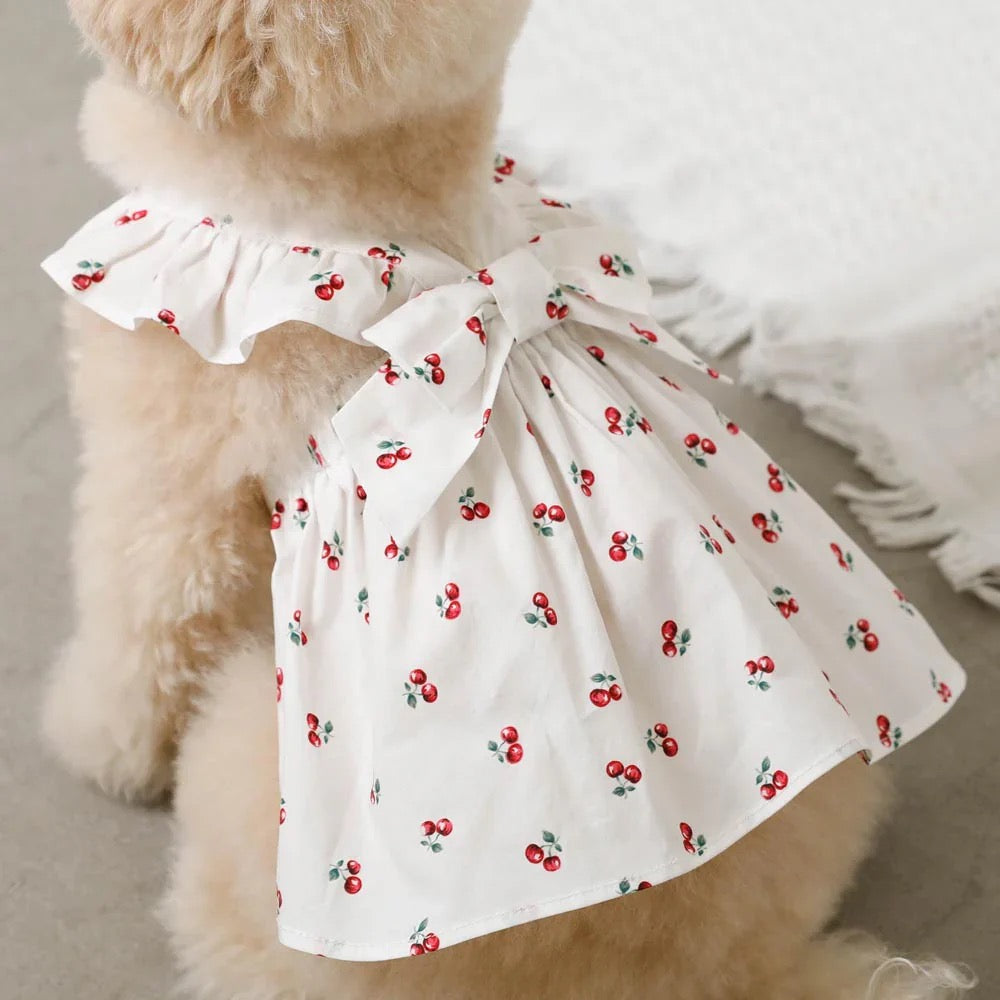 Caninie-Monchéri Cool Frill Ribbon Cherry Dress เดรสสุนัขลายเชอร์รี่ระบายริบบิ้น สี White | ชุดสุนัขน่ารัก