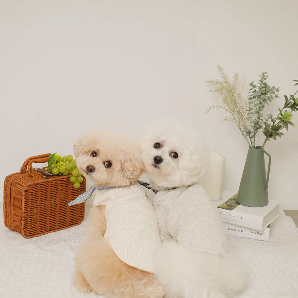 Caninie-Monchéri Cool Neck Ribbon Sweets Logo Sleeveless Top เสื้อสุนัขแขนกุดริบบิ้นคอ | เสื้อสุนัขน่ารัก
