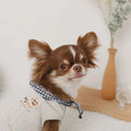 Caninie-Monchéri Cool Neck Ribbon Sweets Logo Sleeveless Top เสื้อสุนัขแขนกุดริบบิ้นคอ | เสื้อสุนัขน่ารัก