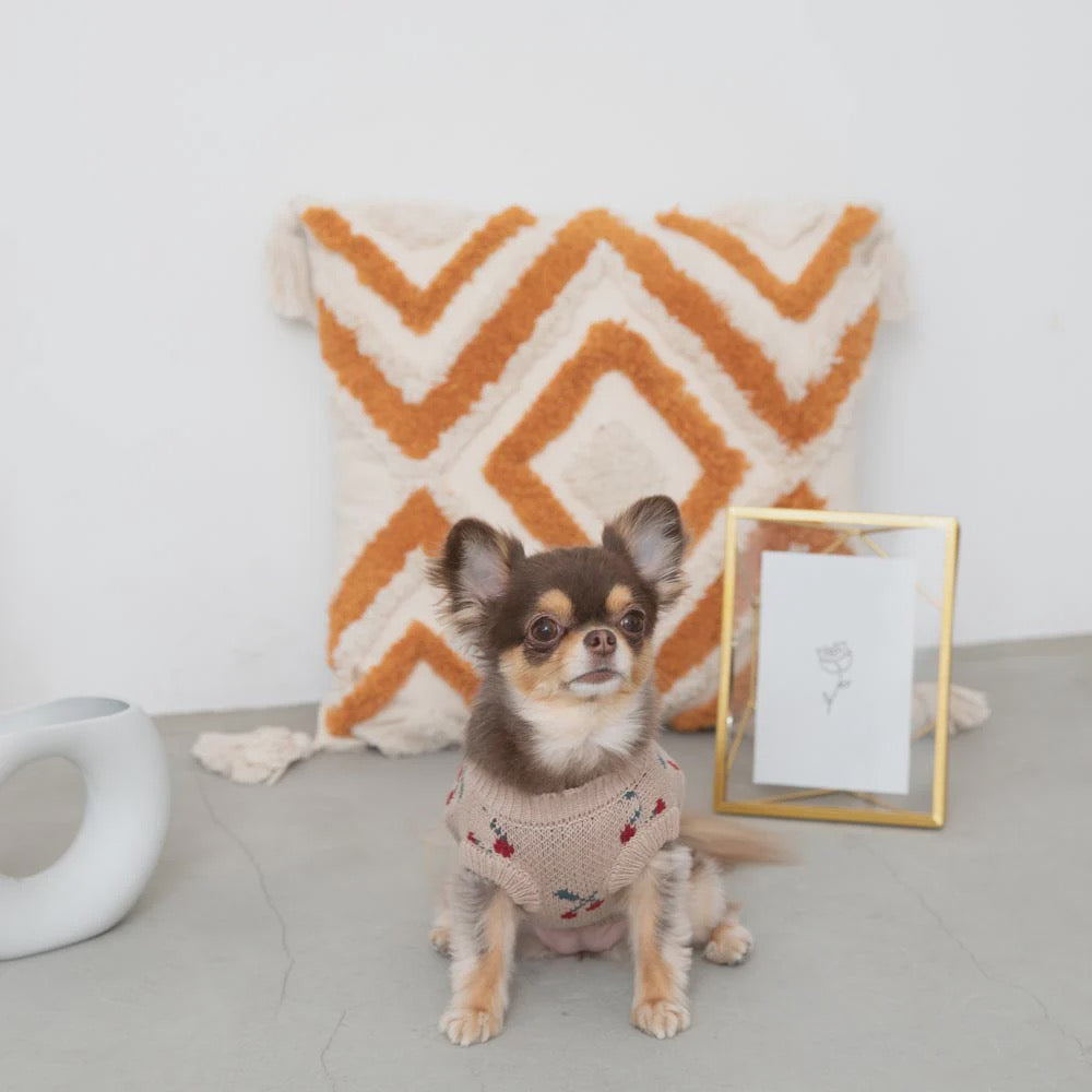 Caninie-Monchéri Cool Knit Camisole Dress เดรสสุนัขสายเดี่ยวผ้าถัก สี Ivory | ชุดสุนัขน่ารักสไตล์ญี่ปุ่น