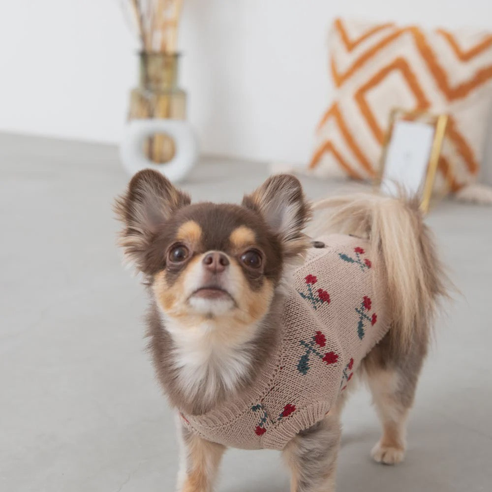 Caninie-Monchéri Cool Knit Camisole Dress เดรสสุนัขสายเดี่ยวผ้าถัก สี Ivory | ชุดสุนัขน่ารักสไตล์ญี่ปุ่น