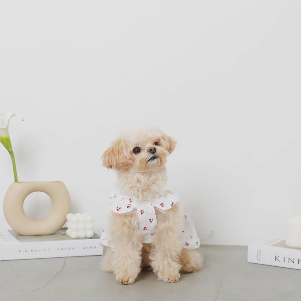 Caninie-Monchéri Cool Strawberry Pattern Frill Camisole Dress เดรสสุนัขสายเดี่ยวลายสตรอว์เบอร์รี่ สี Pink | ชุดสุนัขน่ารักสไตล์ญี่ปุ่น
